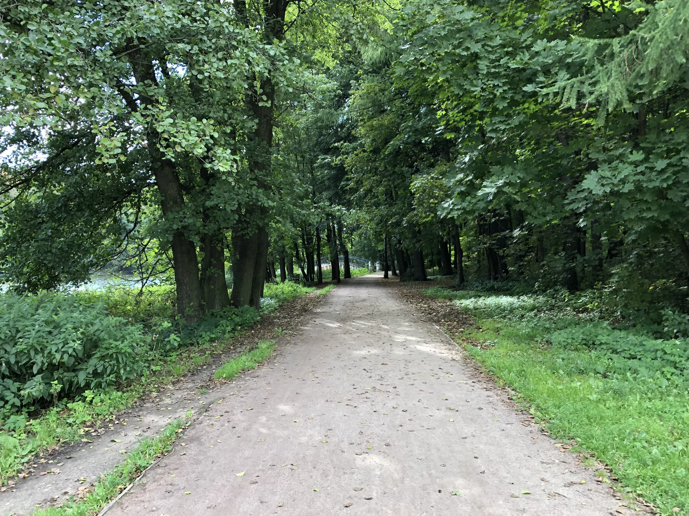 Зеленый парк с беседкой, фото 20