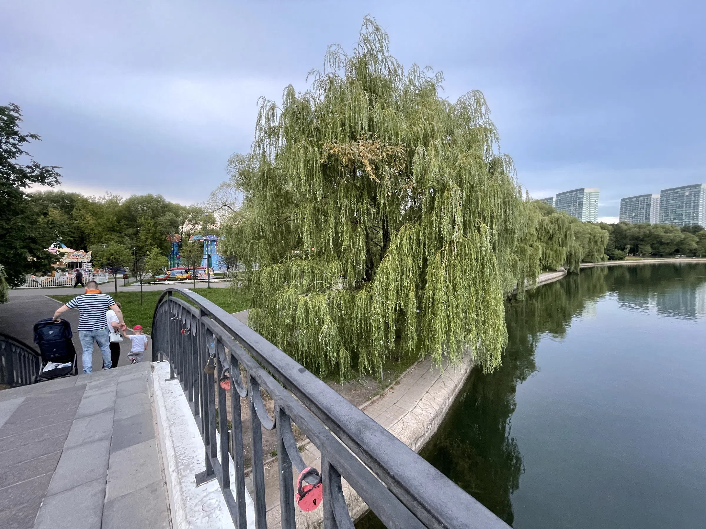 Парк с каруселями и воркаутом, фото 15