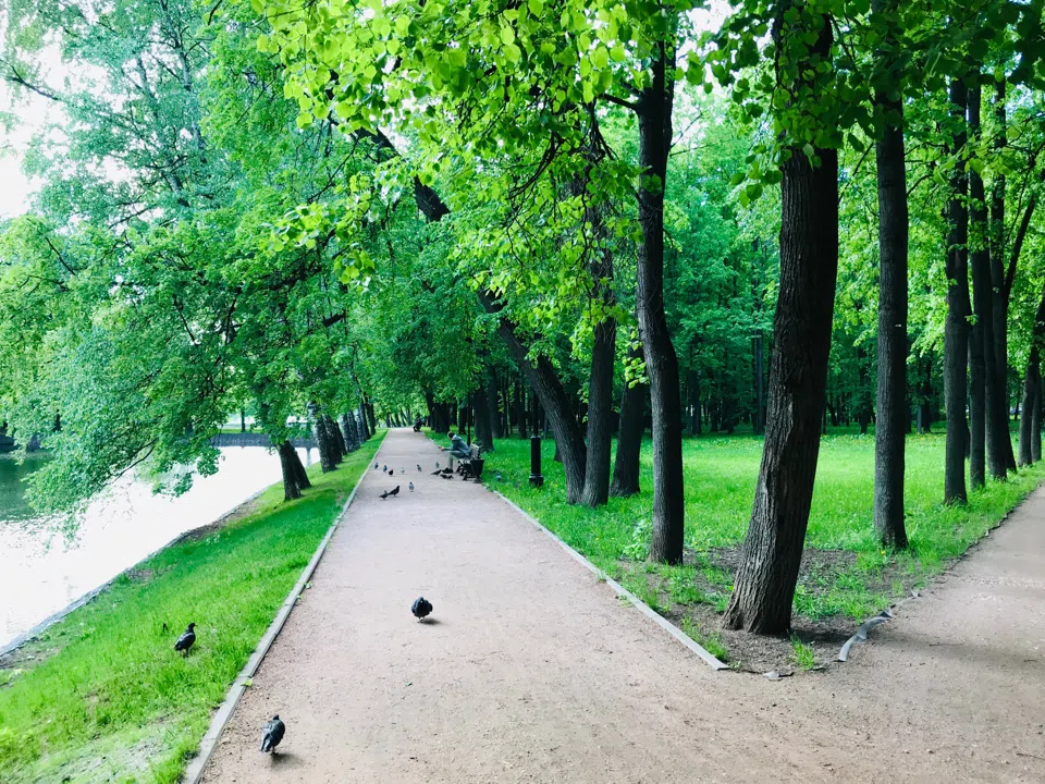 Парк у озера с беседкой, фото 16