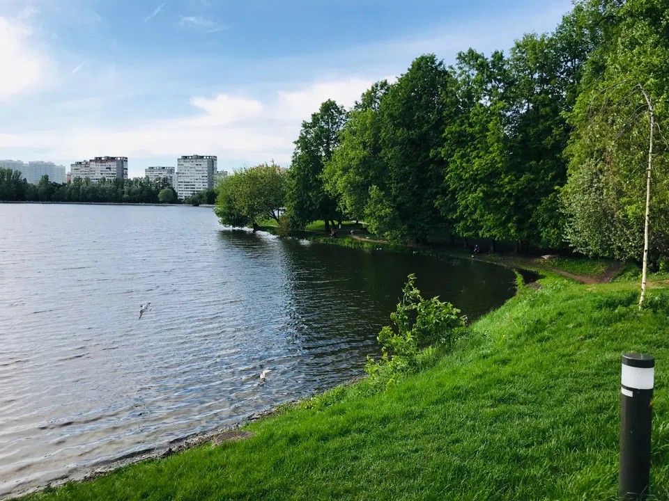 Парк у озера с беседкой, фото 3