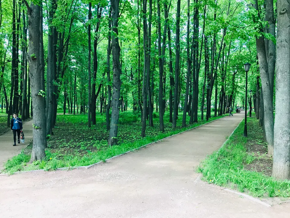 Парк у озера с беседкой, фото 20