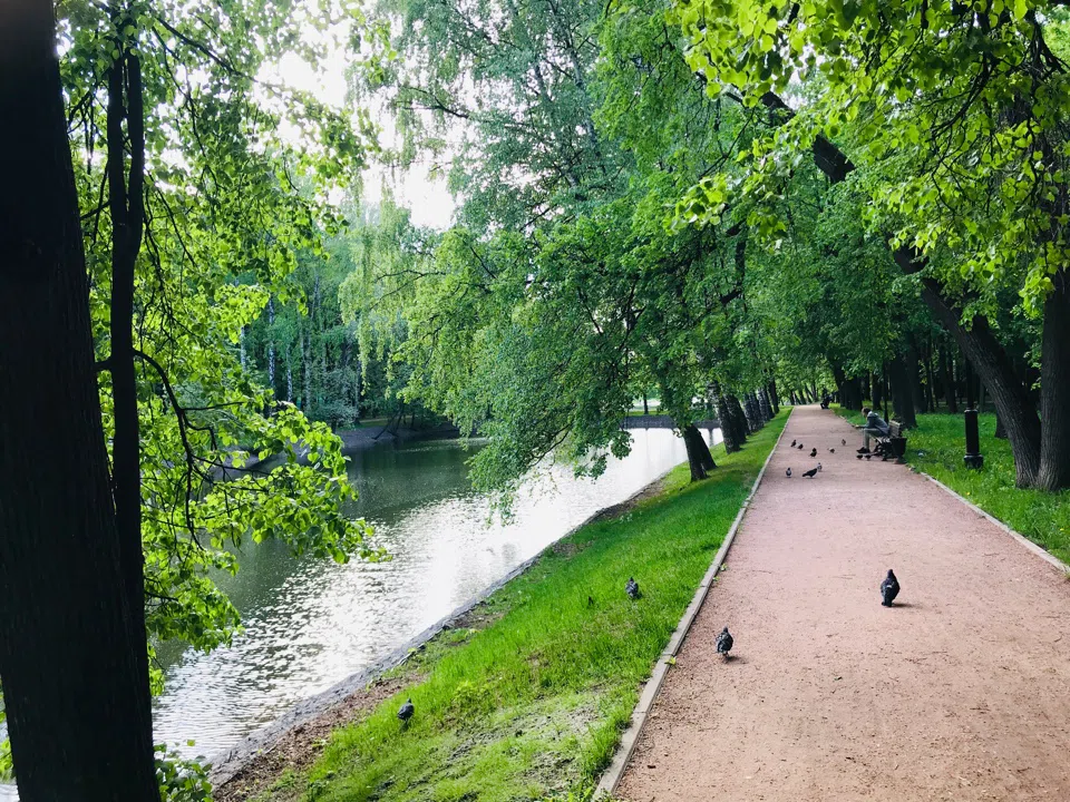 Парк у озера с беседкой, фото 17