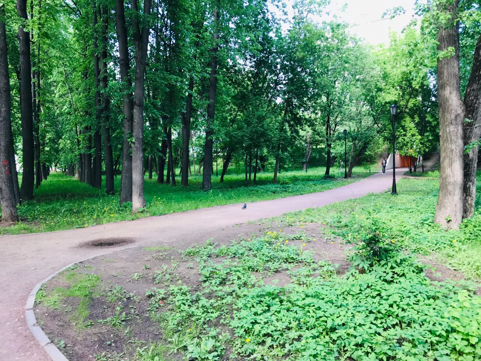 Парк у озера с беседкой, фото 14