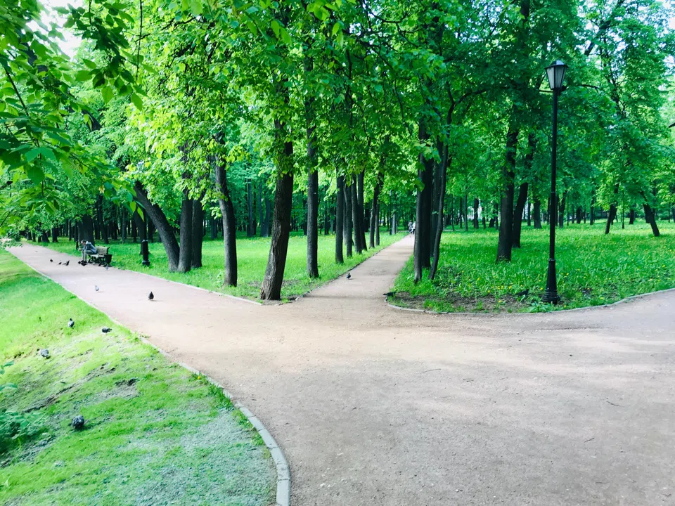 Парк у озера с беседкой, фото 15