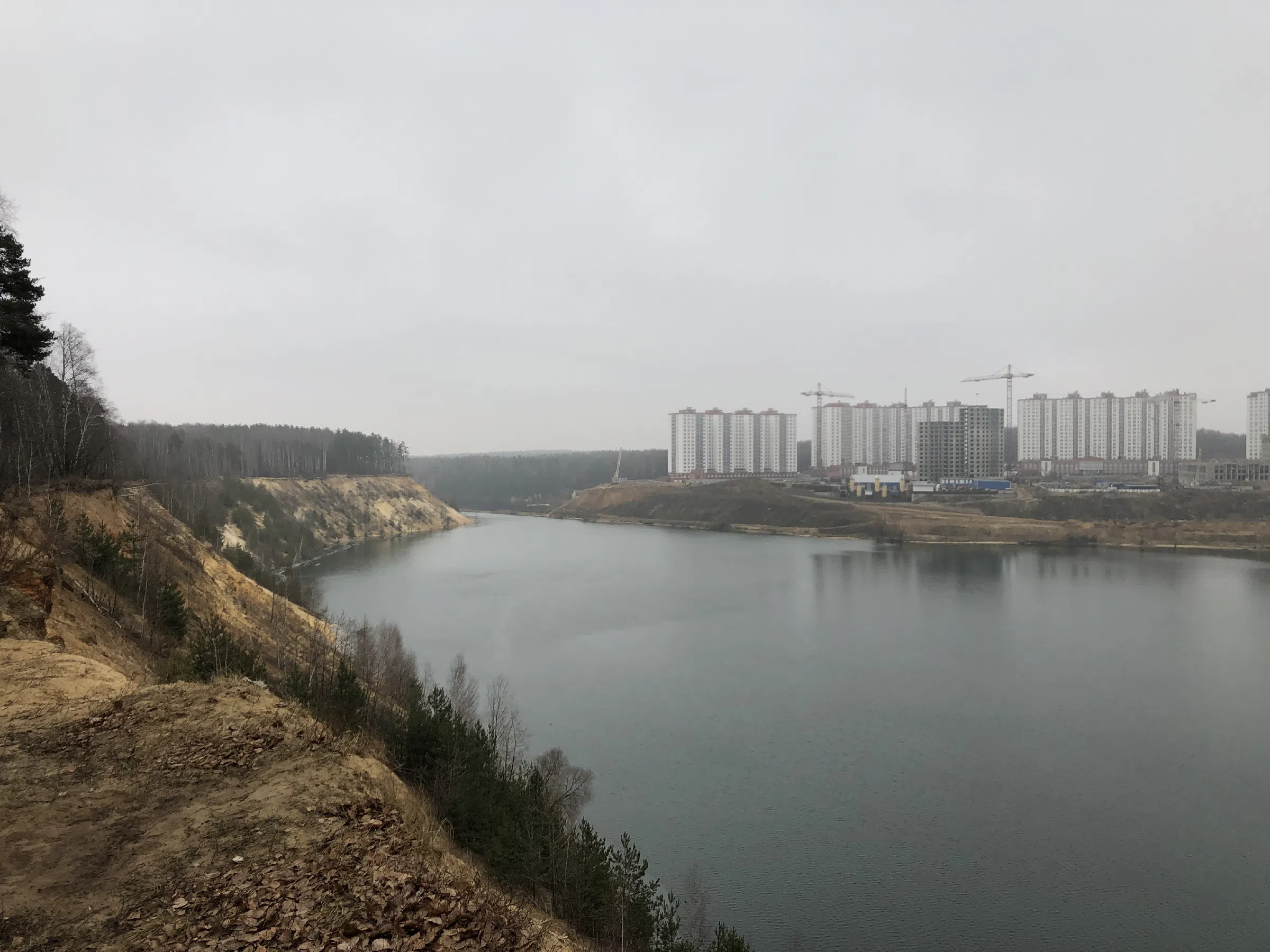 Березовая роща у обрыва, фото 12