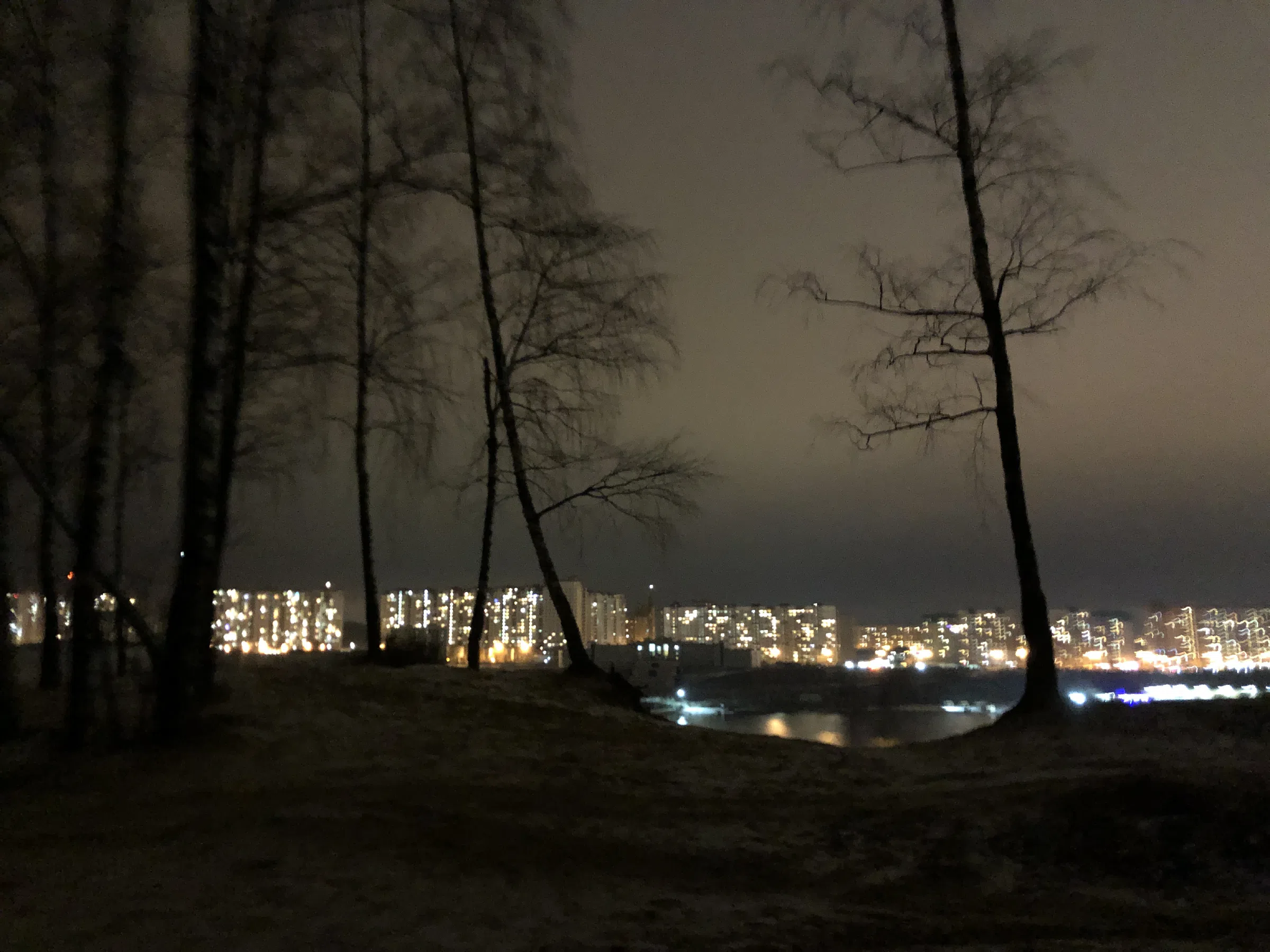 Березовая роща у обрыва, фото 18