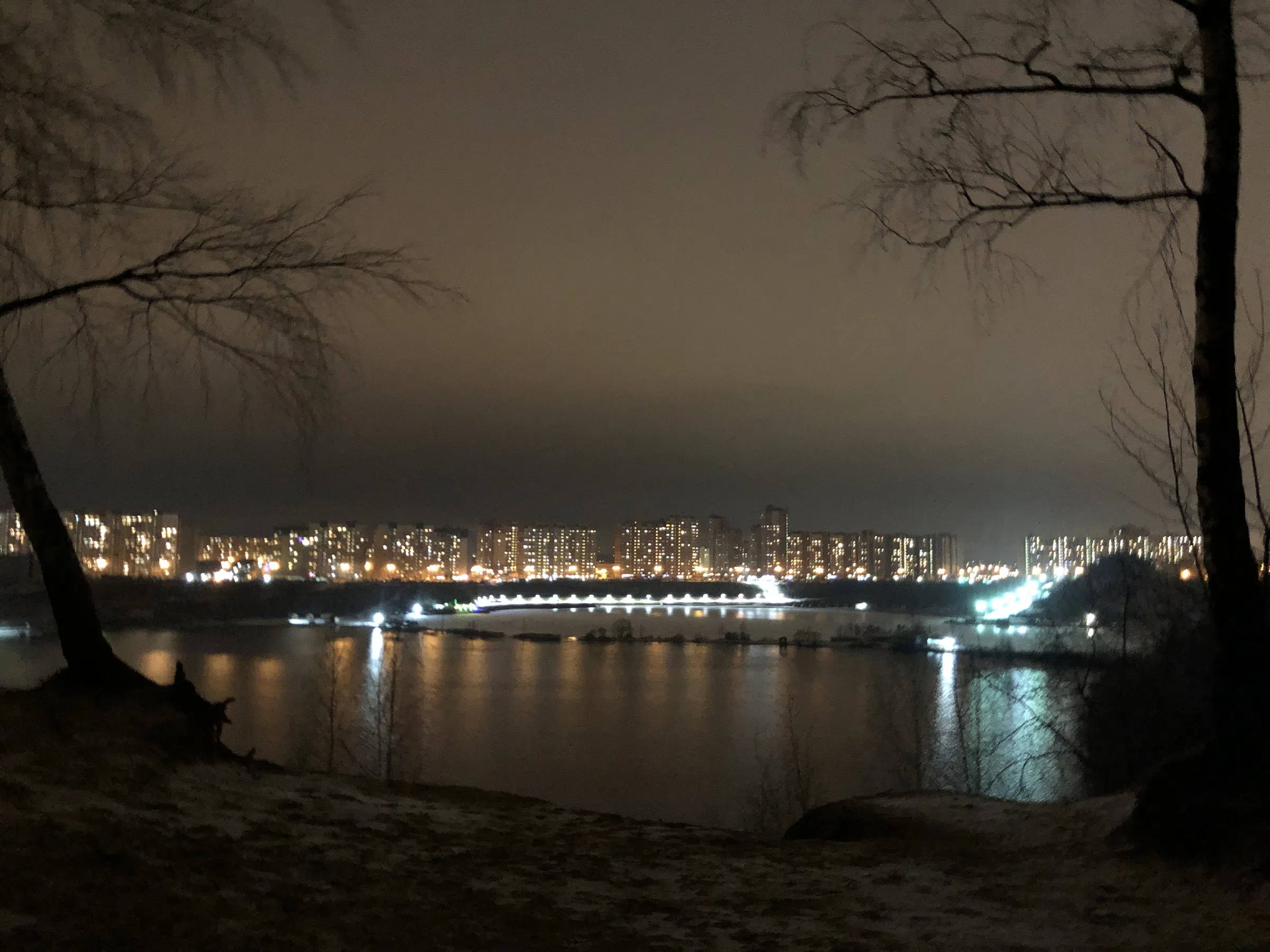 Березовая роща у обрыва, фото 19