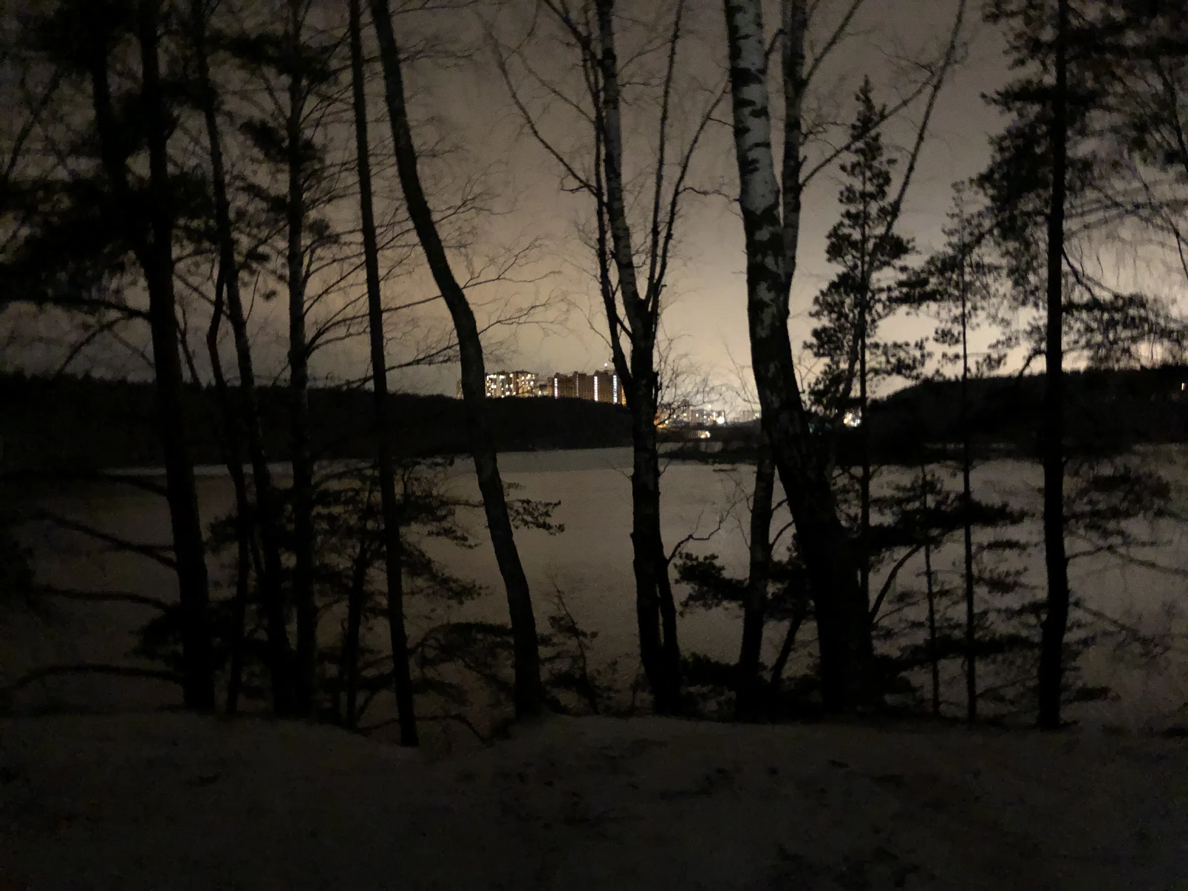 Березовая роща у обрыва, фото 16