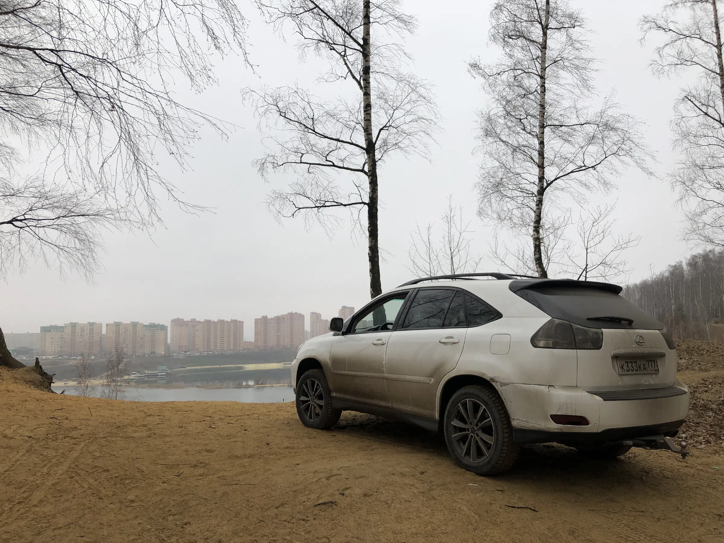 Березовая роща у обрыва, фото 2