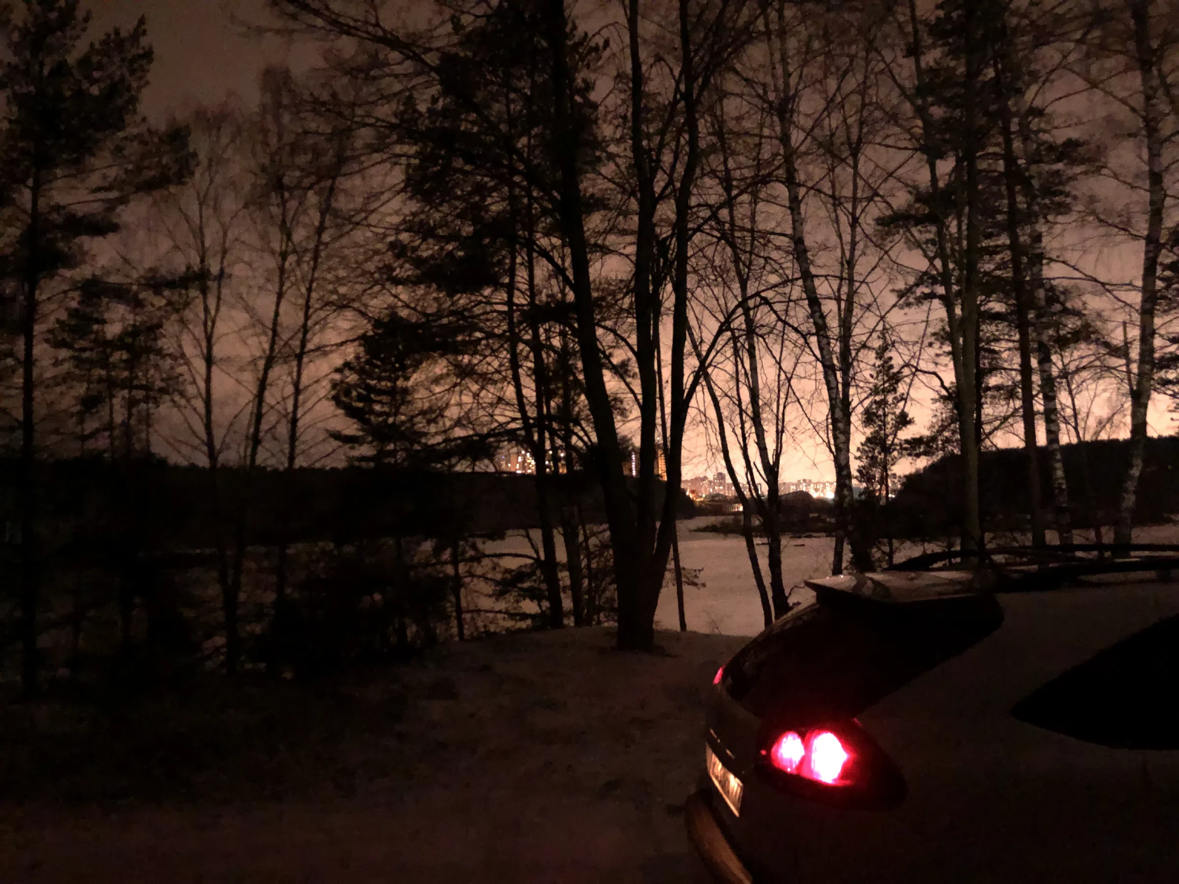 Березовая роща у обрыва, фото 15
