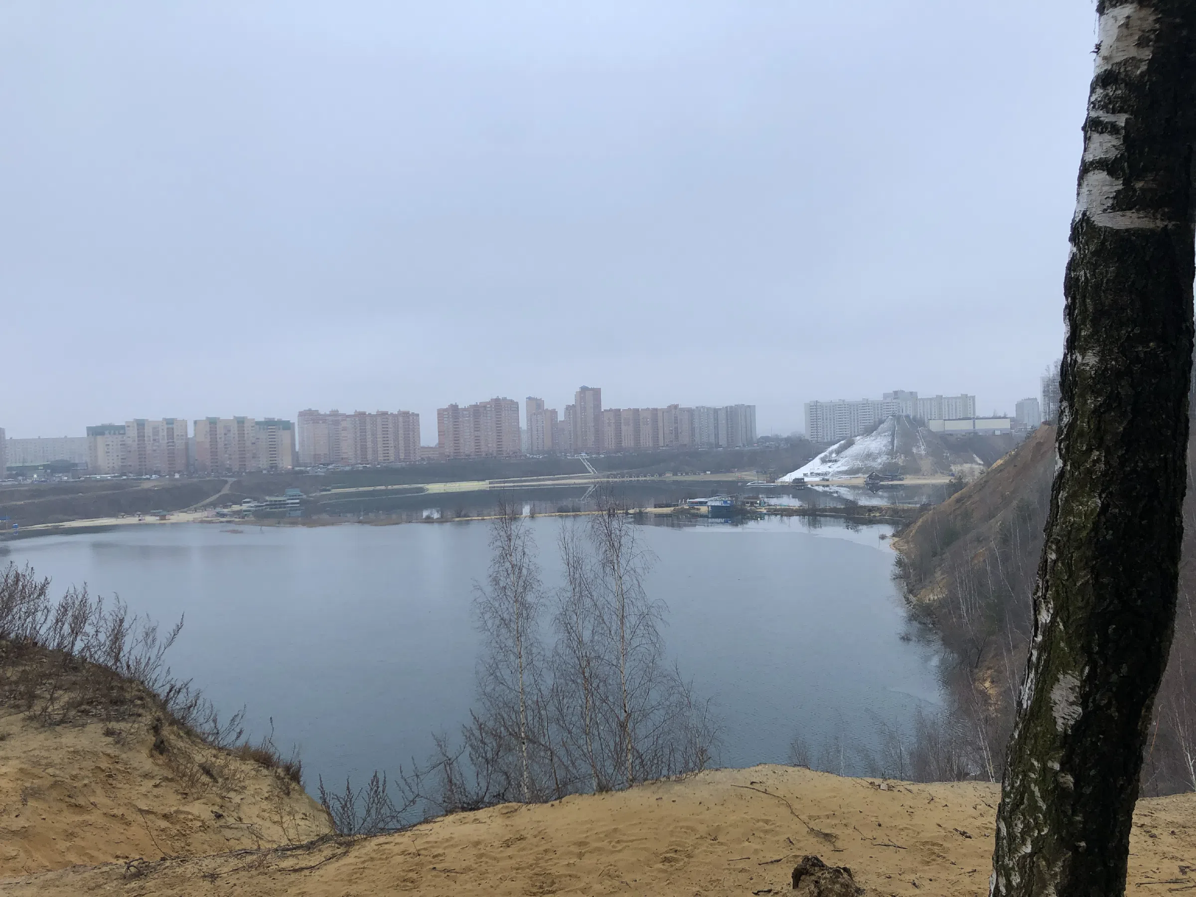 Березовая роща у обрыва, фото 8