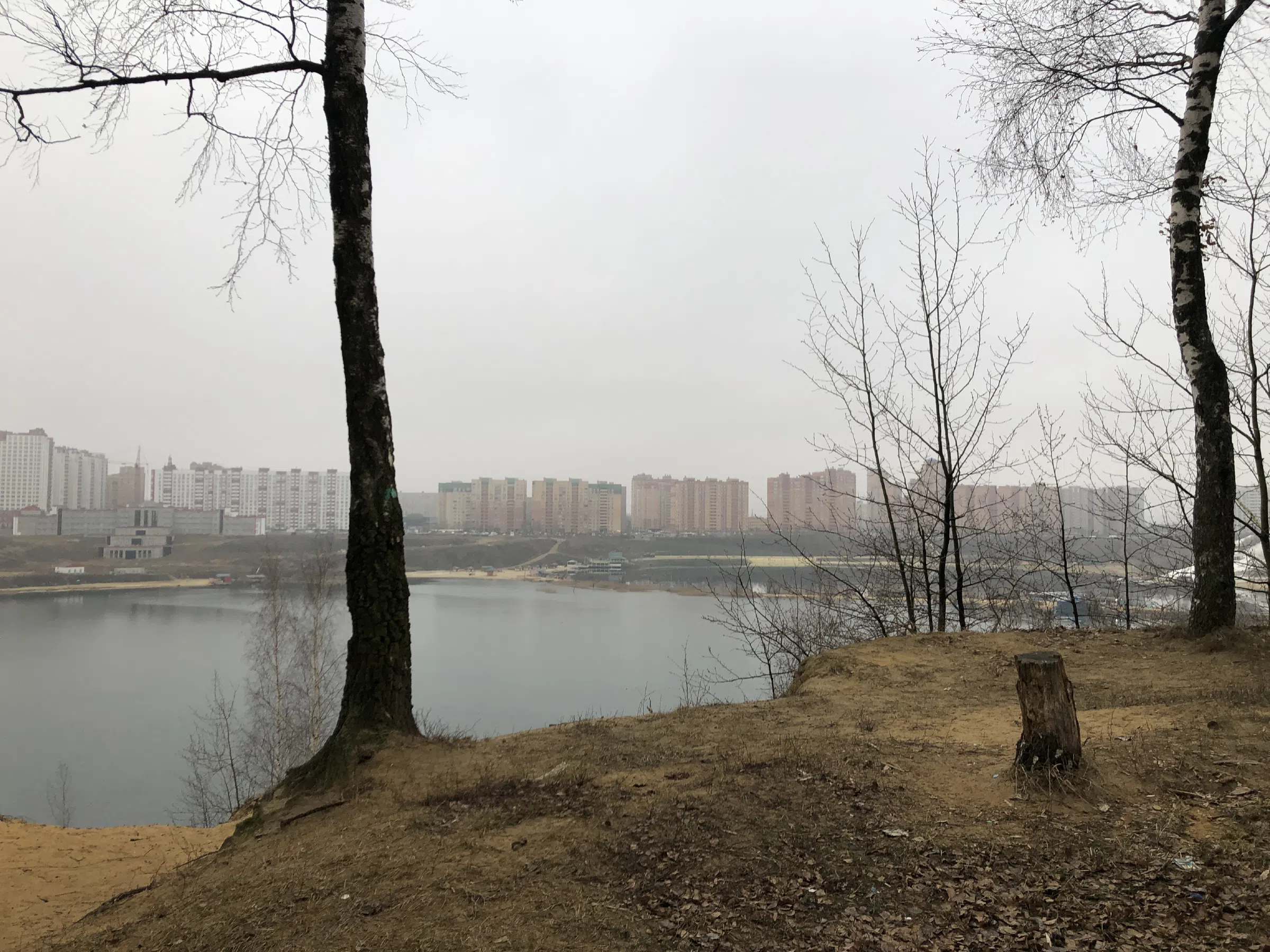 Березовая роща у обрыва, фото 4