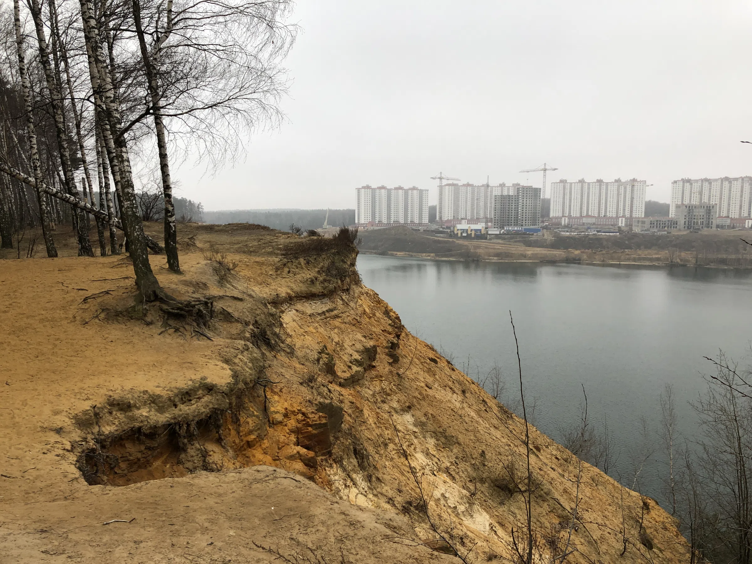 Березовая роща у обрыва, фото 5