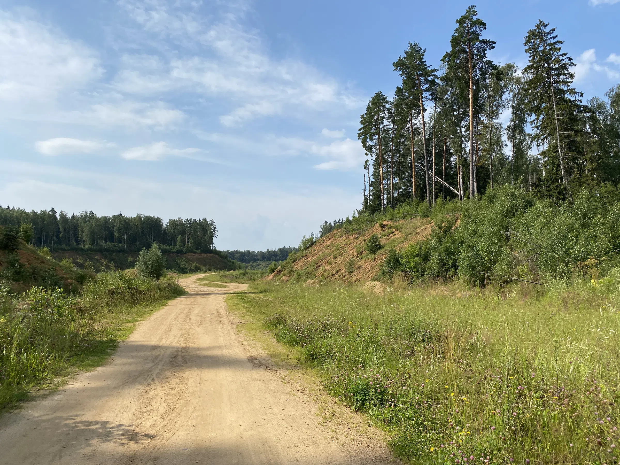 Карьер с озером и лесом, фото 1