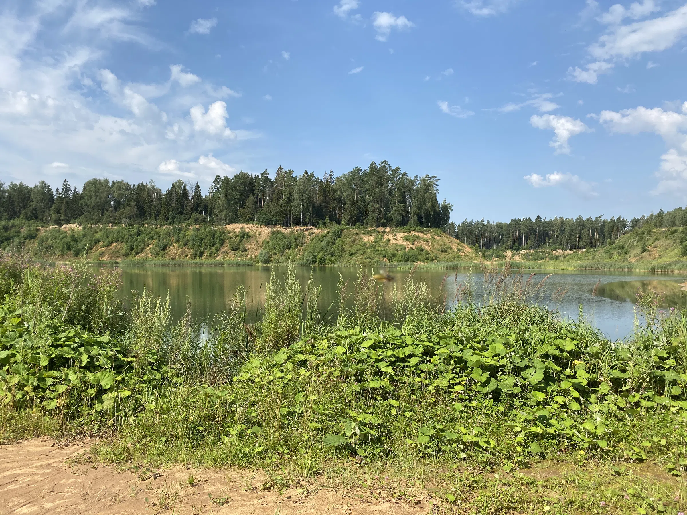 Карьер с озером и лесом, фото 3