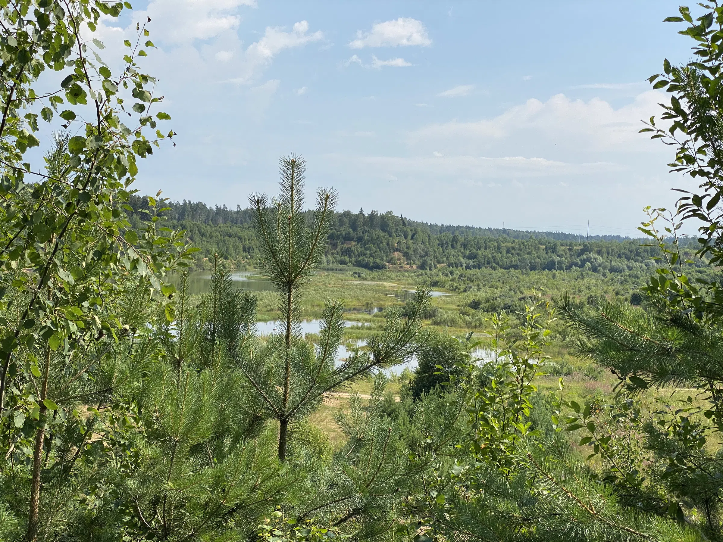 Карьер с озером и лесом, фото 15