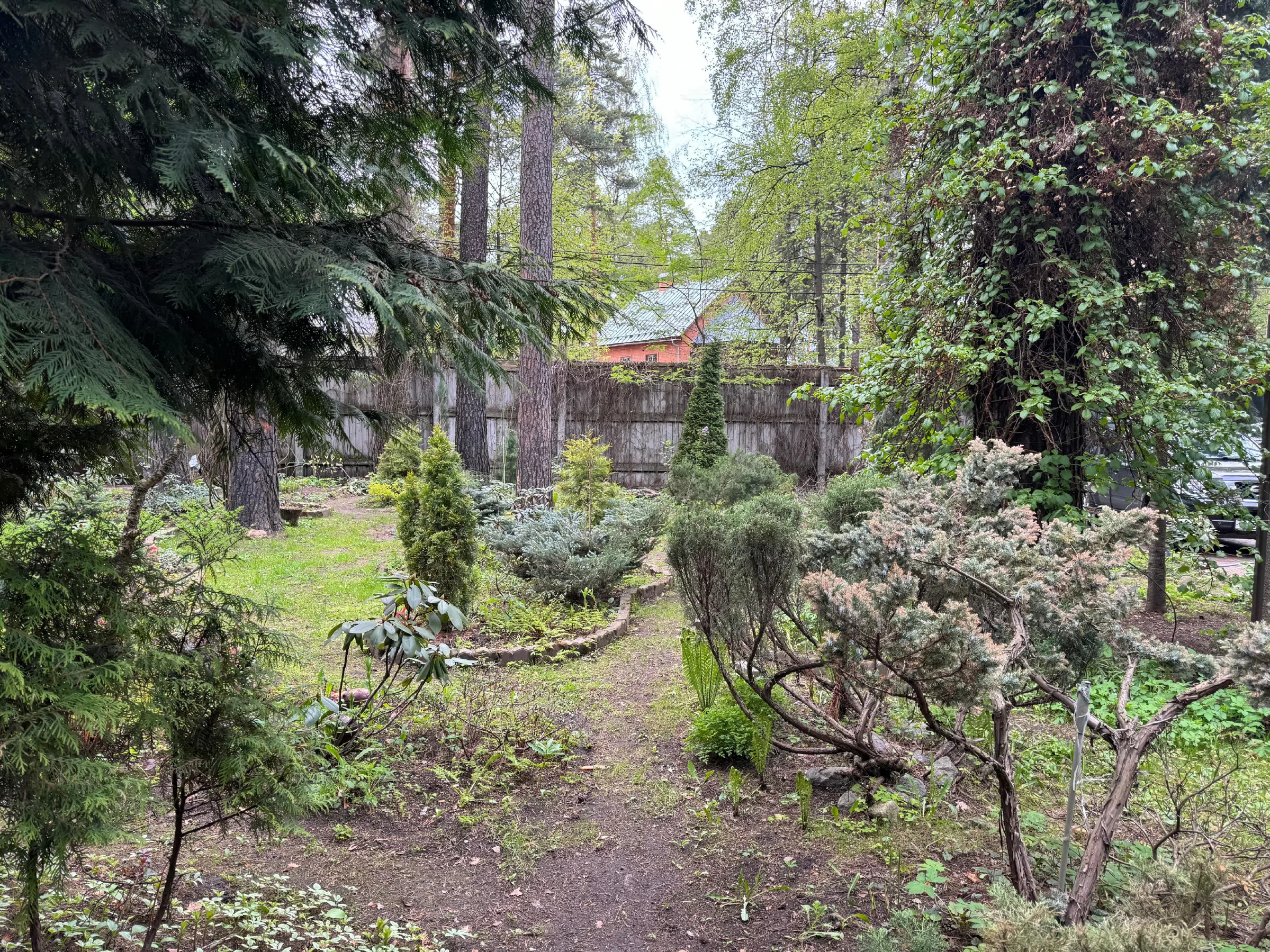 Дача Красной Террасы, фото 3