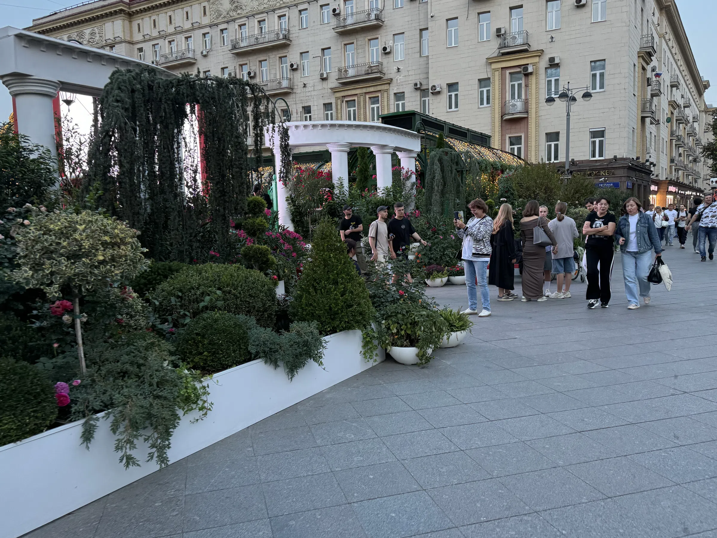 Кафе в еловом лесу, фото 1