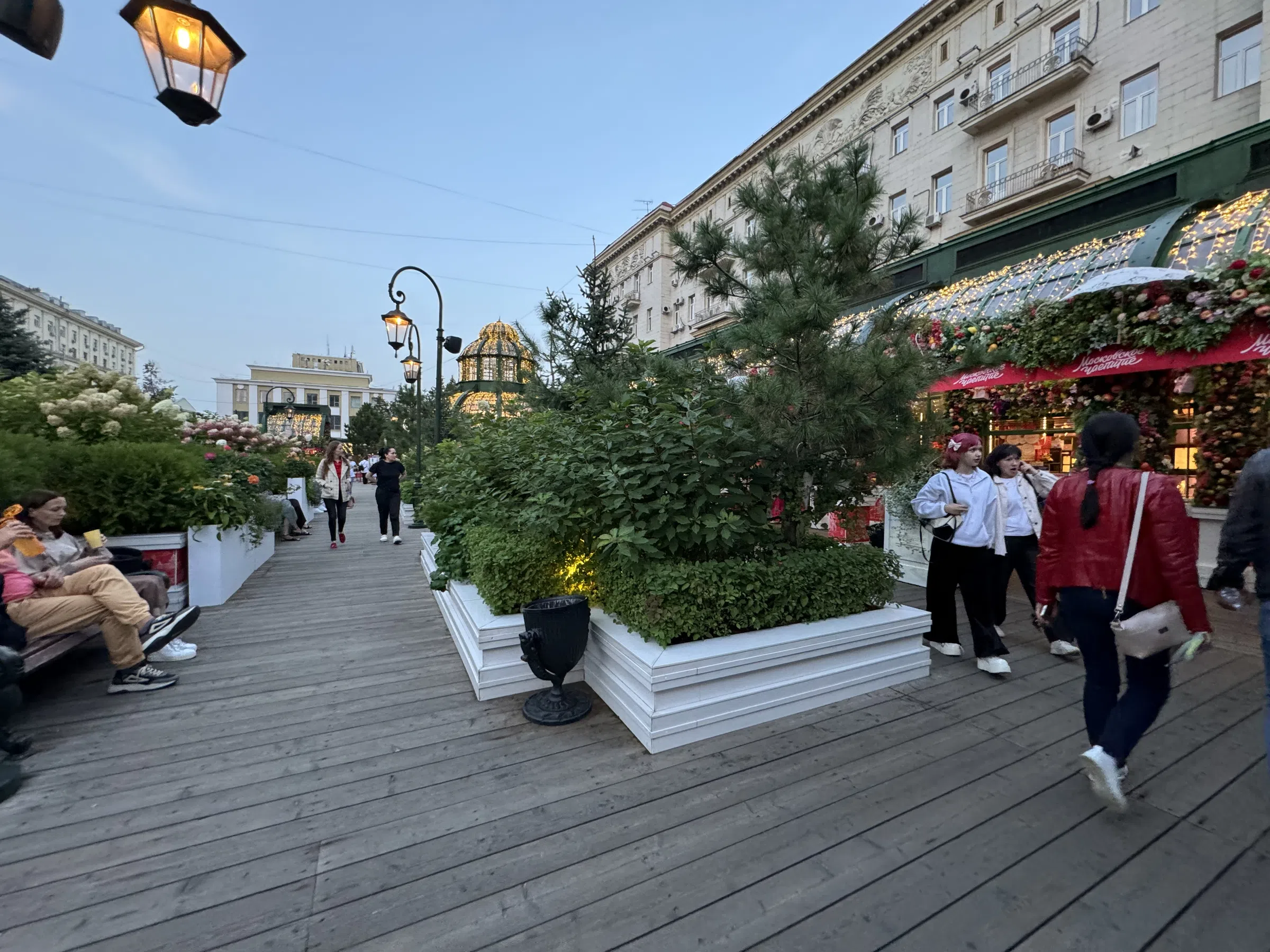 Кафе в еловом лесу, фото 3