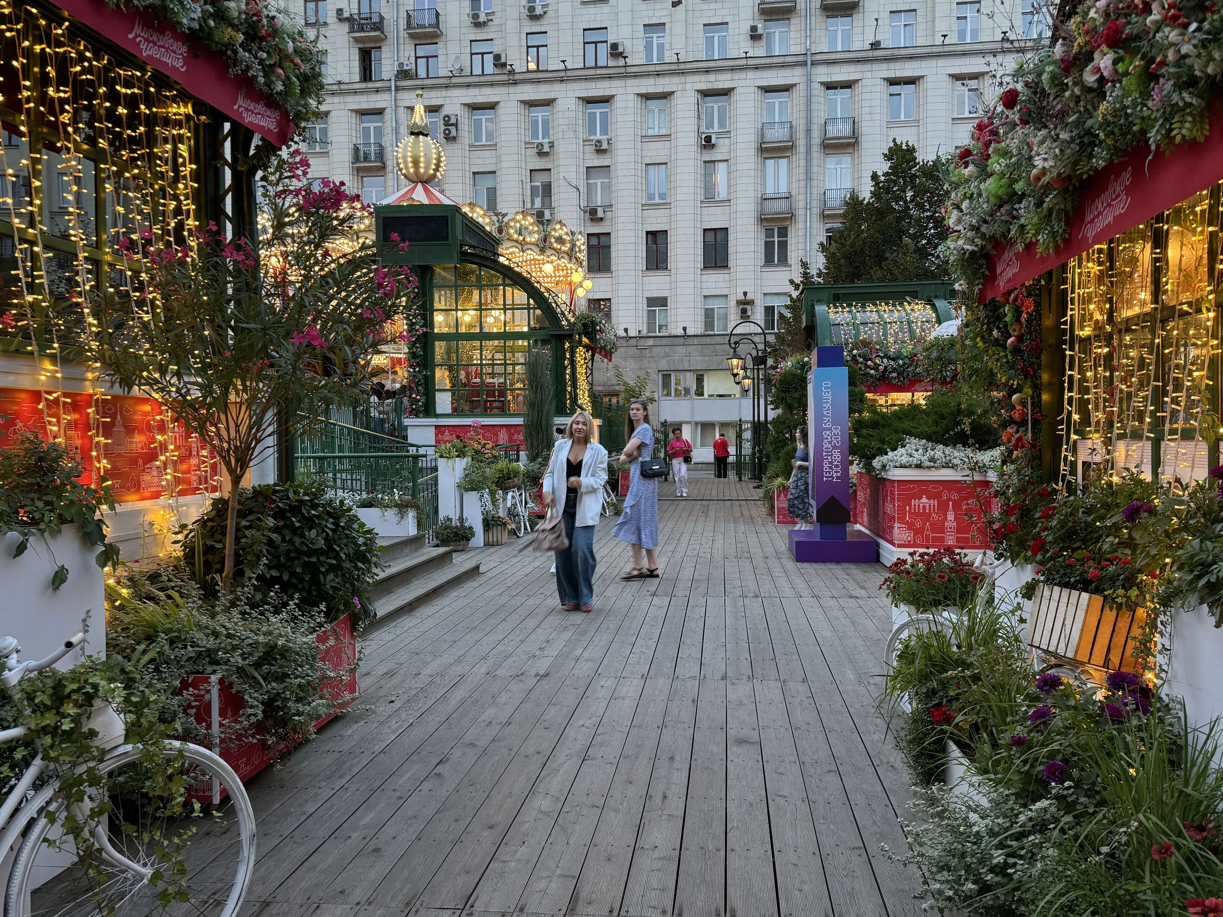 Кафе в еловом лесу, фото 16
