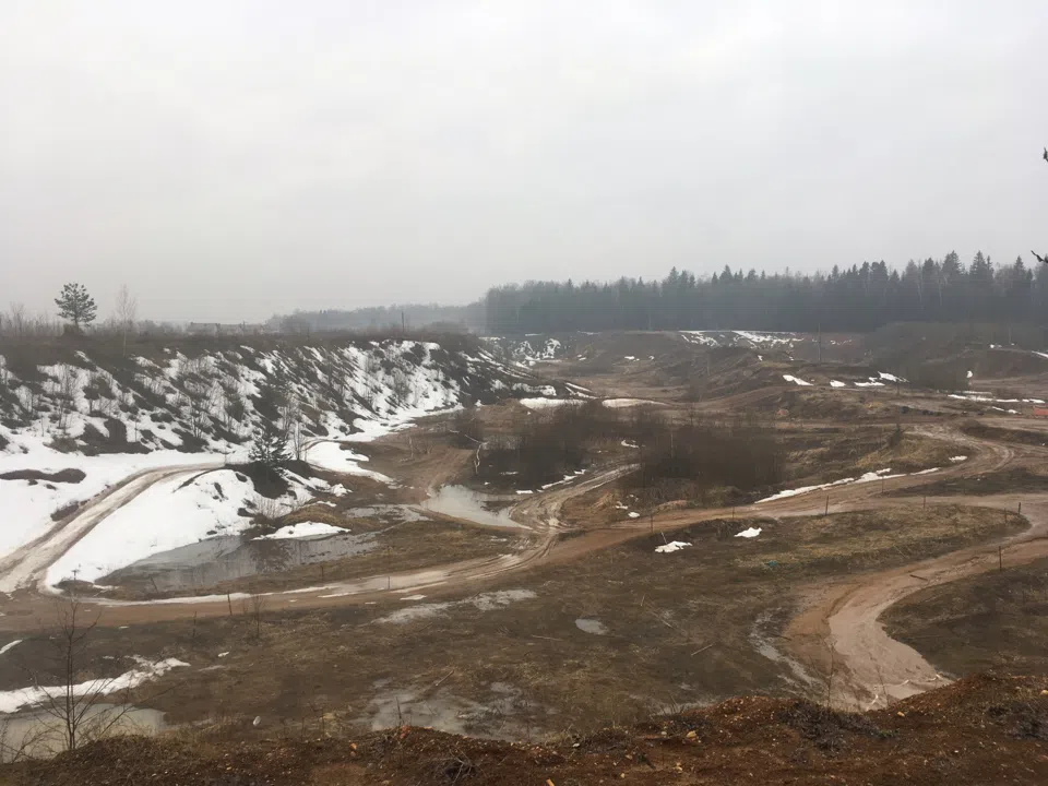 Лес в тумане, фото 1