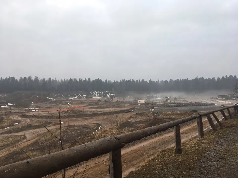 Лес в тумане, фото 2