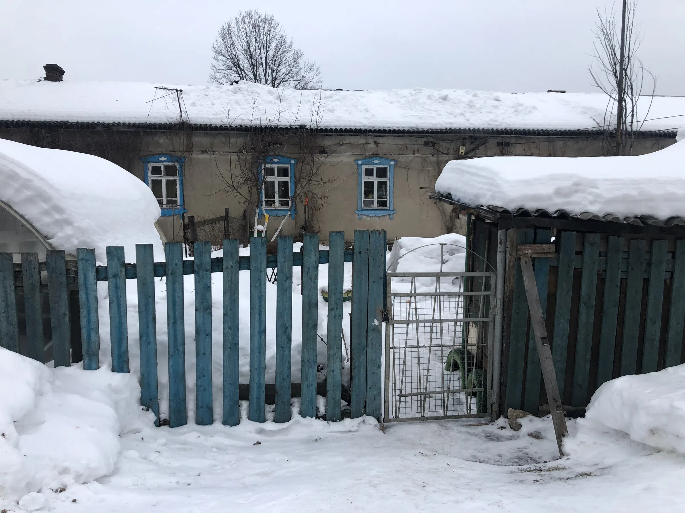 Деревенский дом в снегу, фото 9