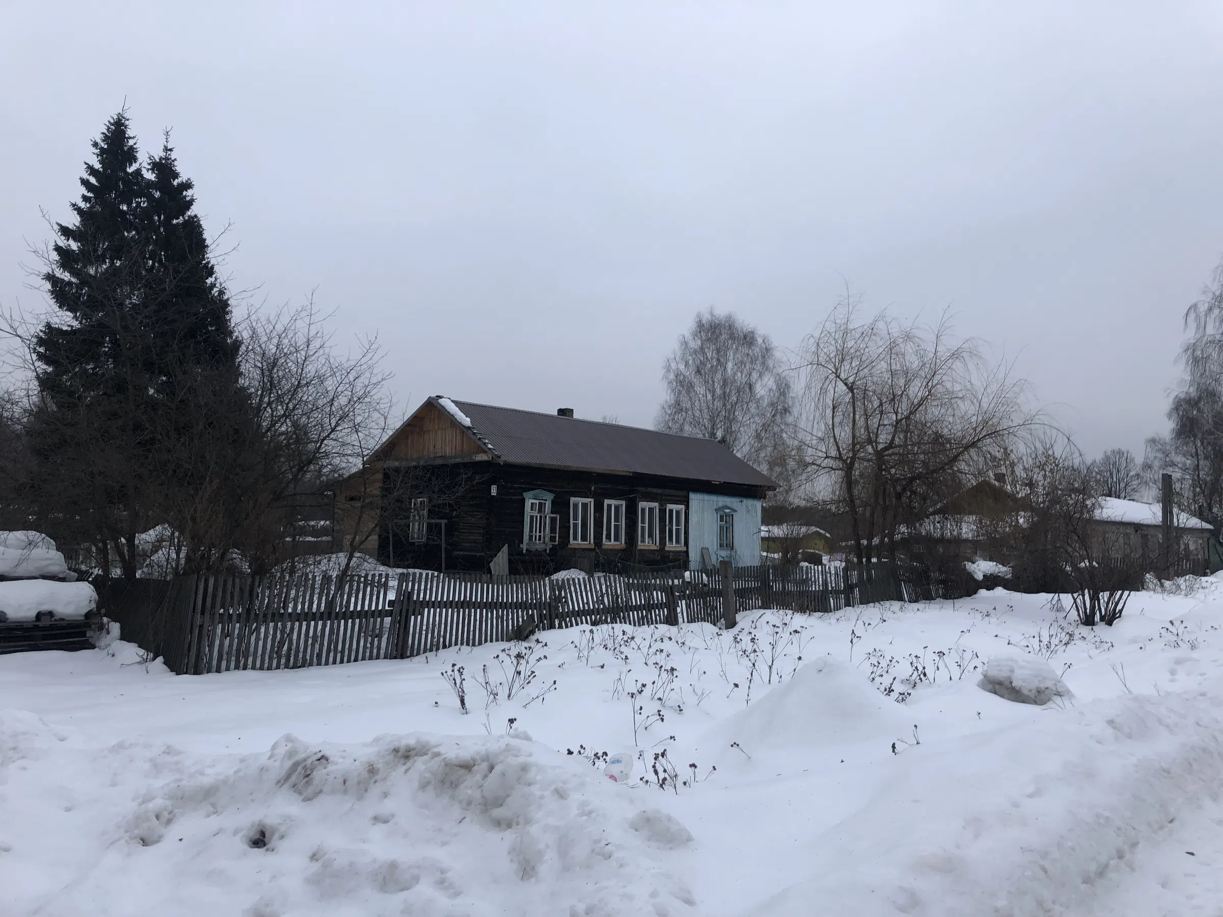 Деревенский дом в снегу, фото 2