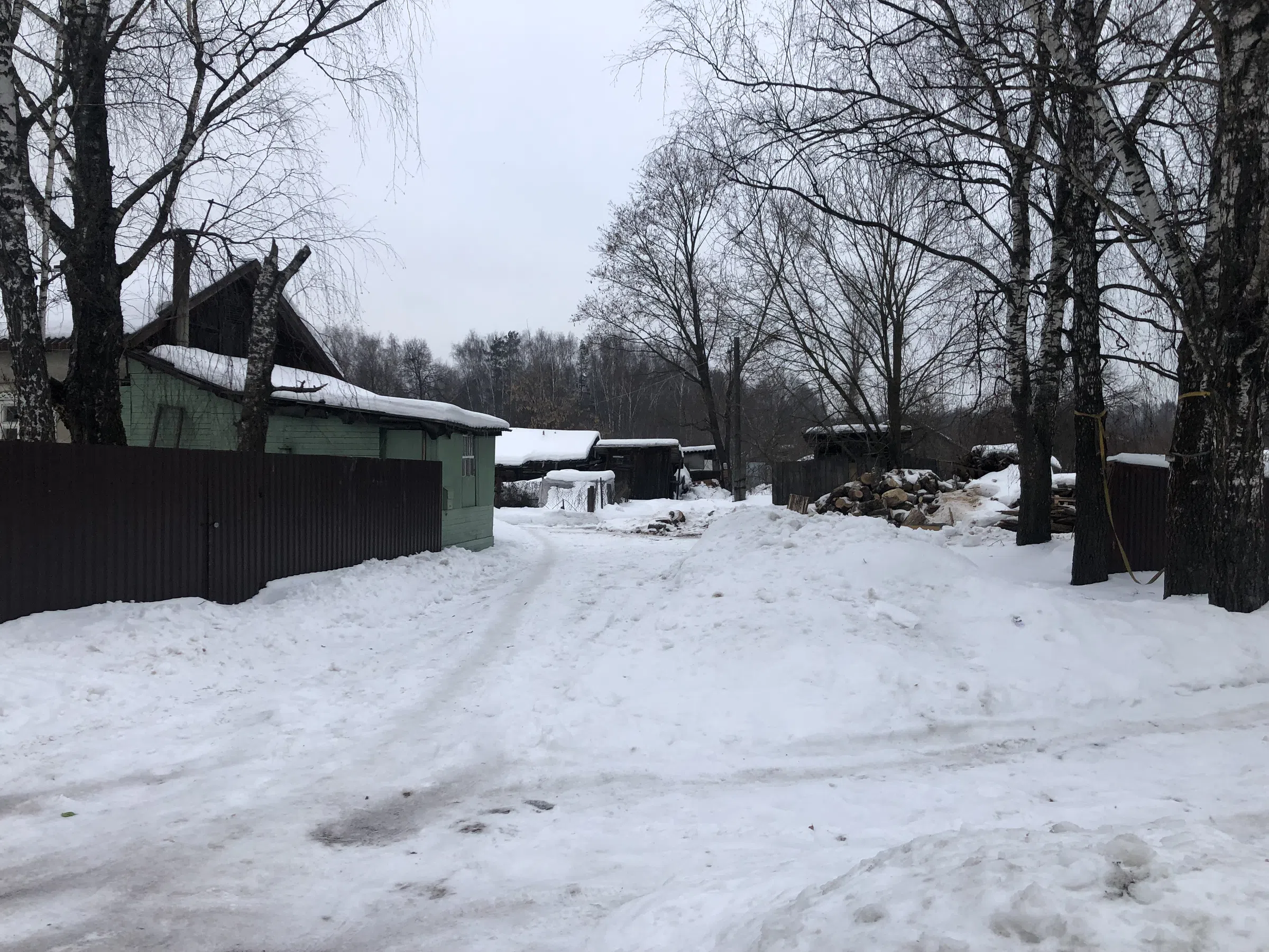 Деревенский дом в снегу, фото 6