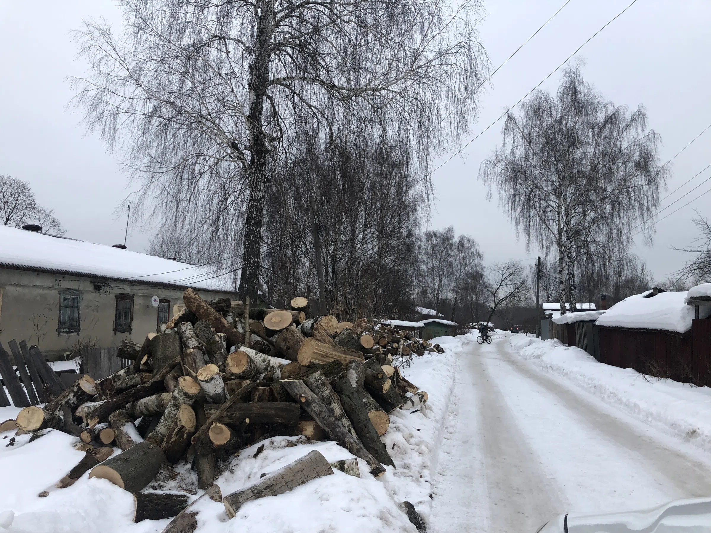 Деревенский дом в снегу, фото 5