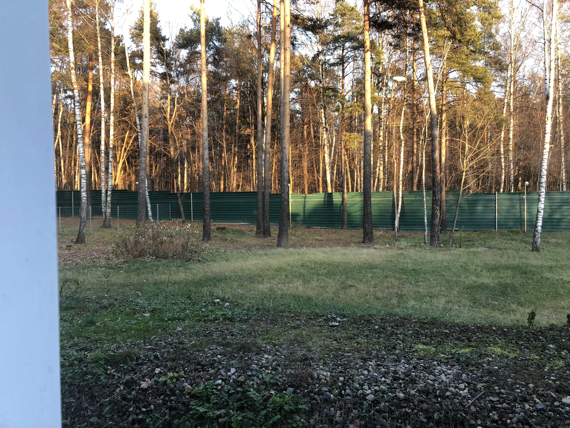 Загородный отель с отделкой деревом, фото 10