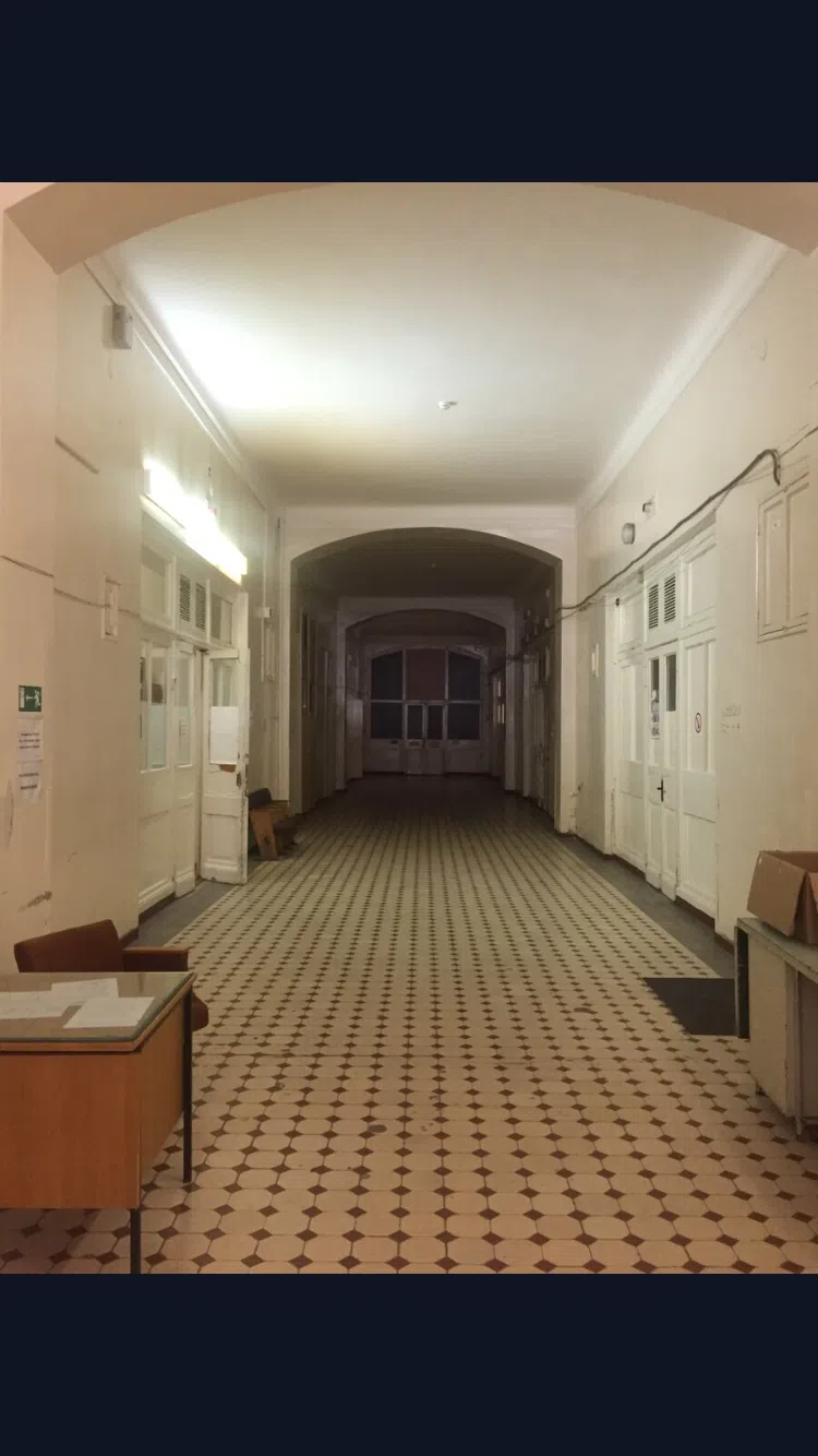 Больница в старинном стиле, фото 14