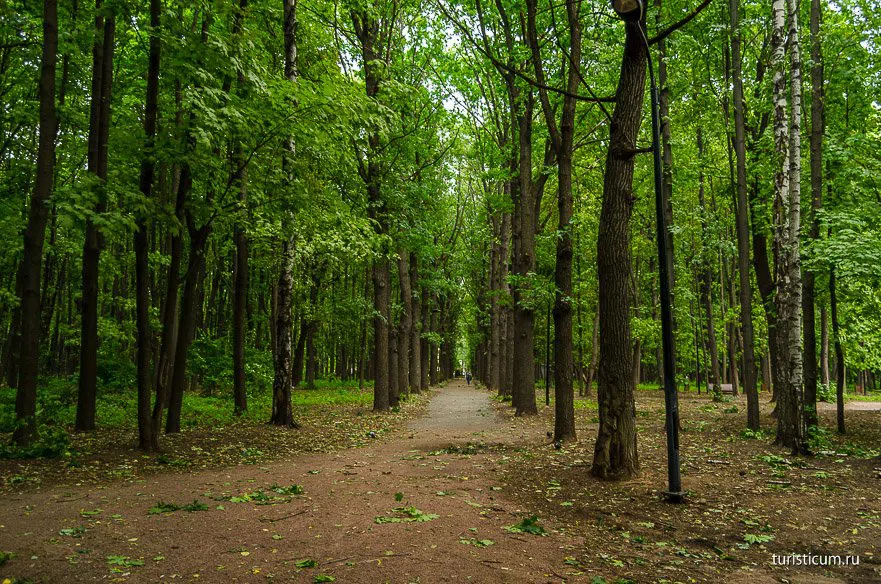 Парк у реки, фото 4