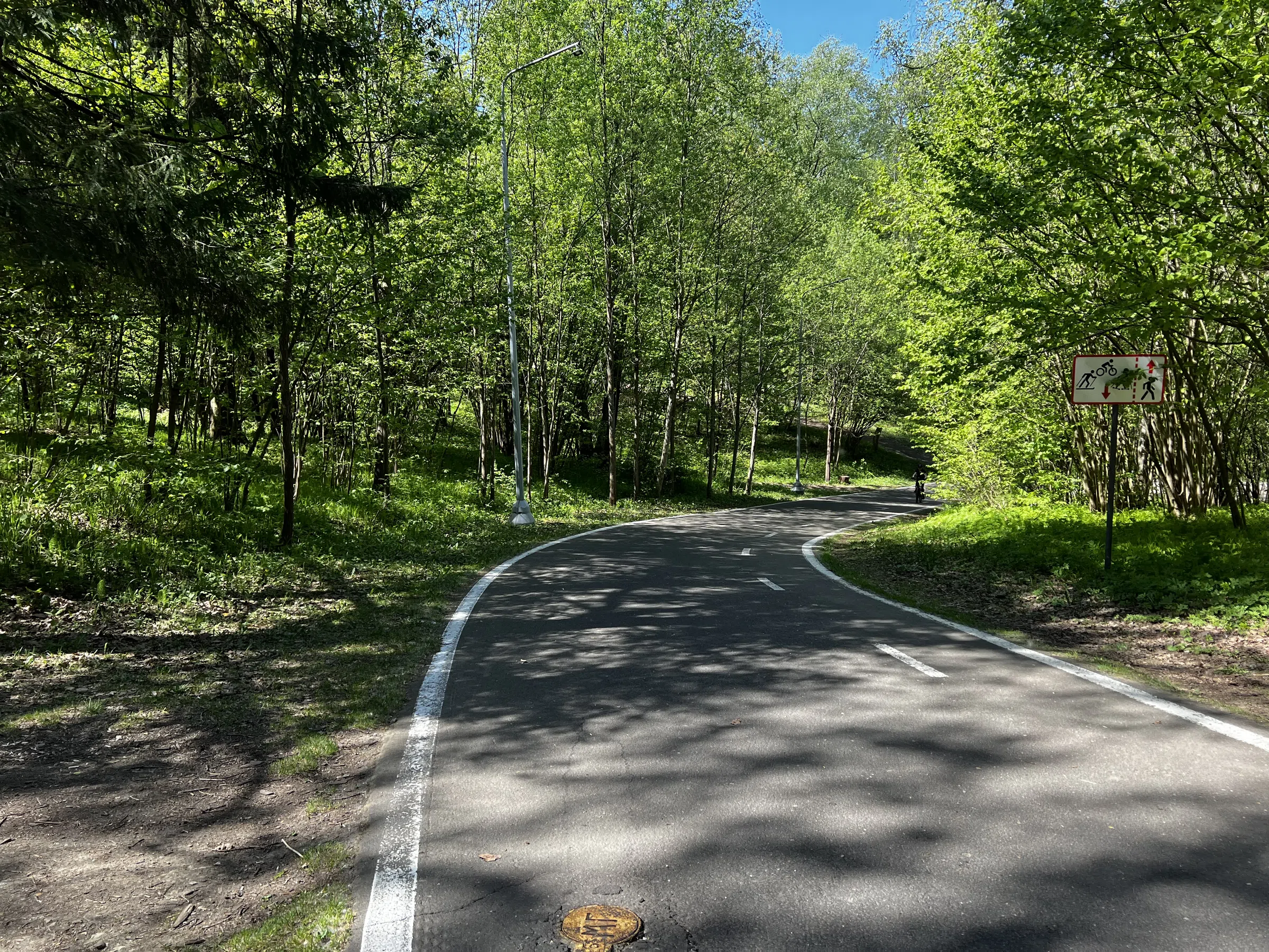 Лес для велопрогулок, фото 20