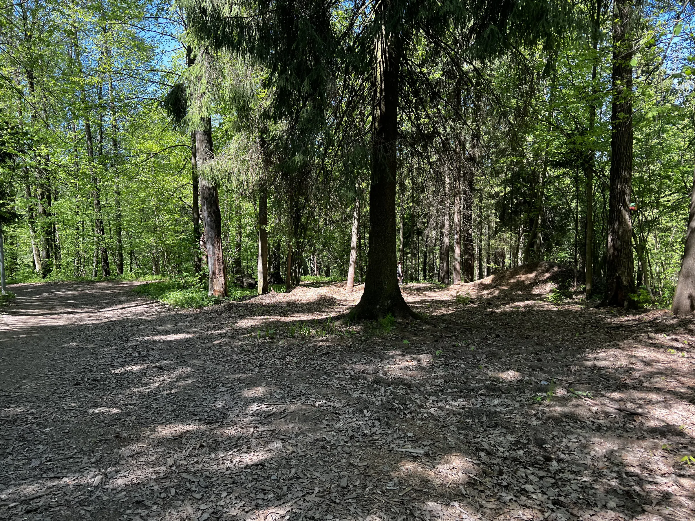 Лес для велопрогулок, фото 2