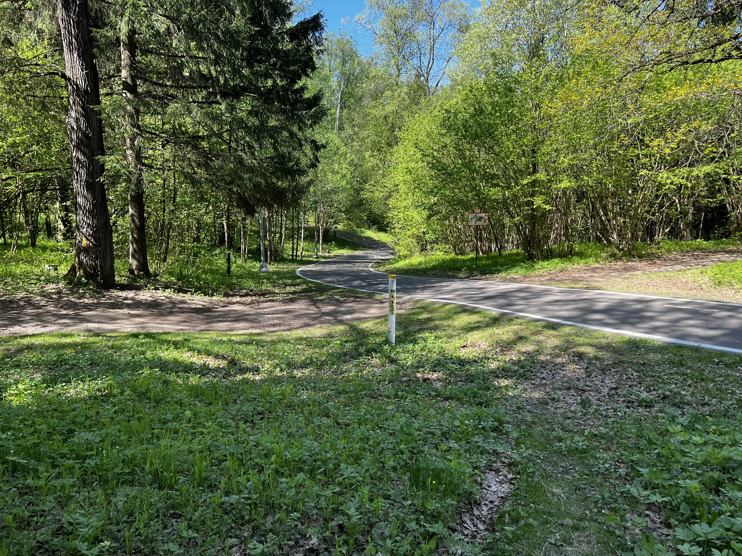 Лес для велопрогулок, фото 19