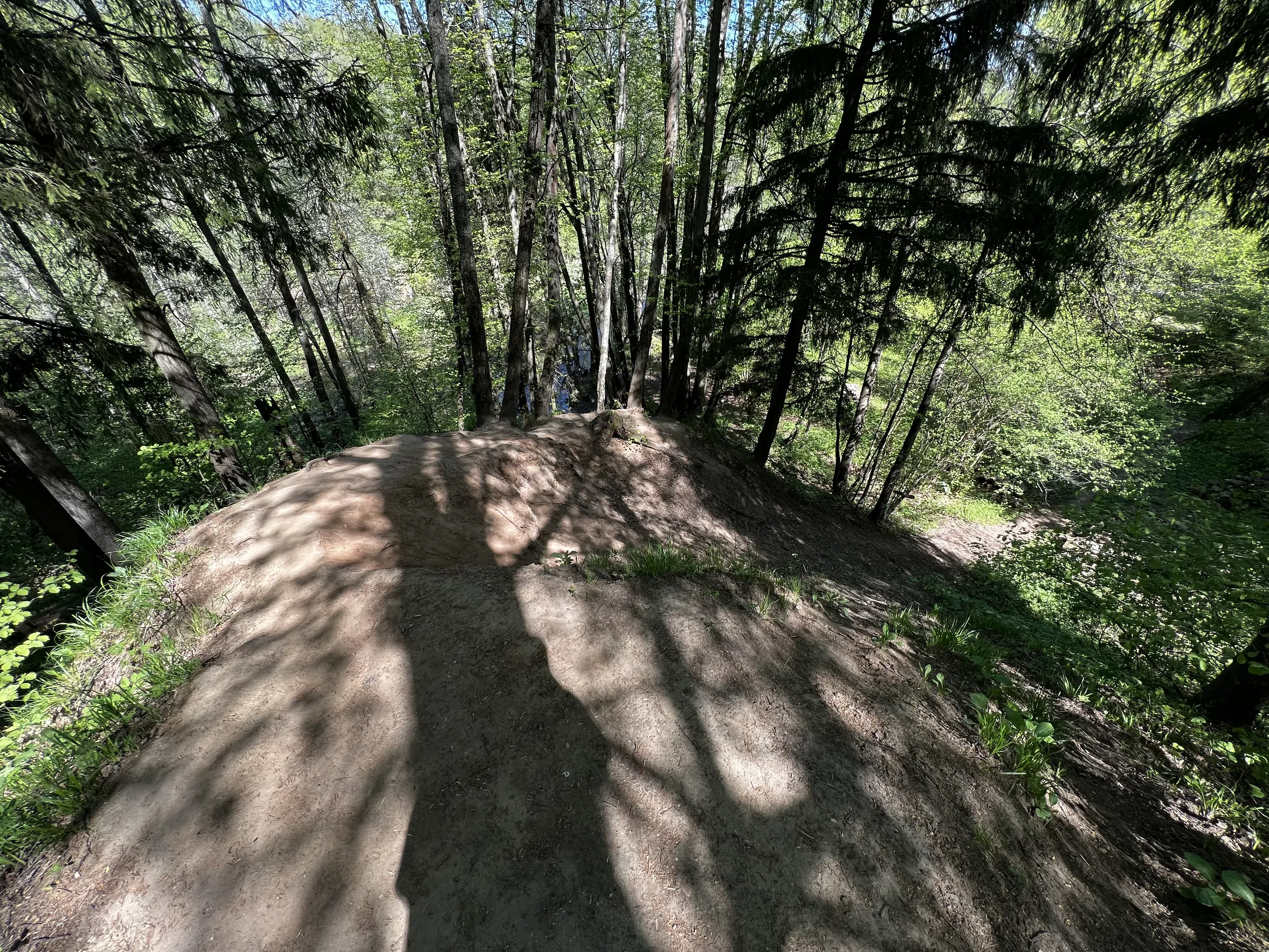 Лес для велопрогулок, фото 12