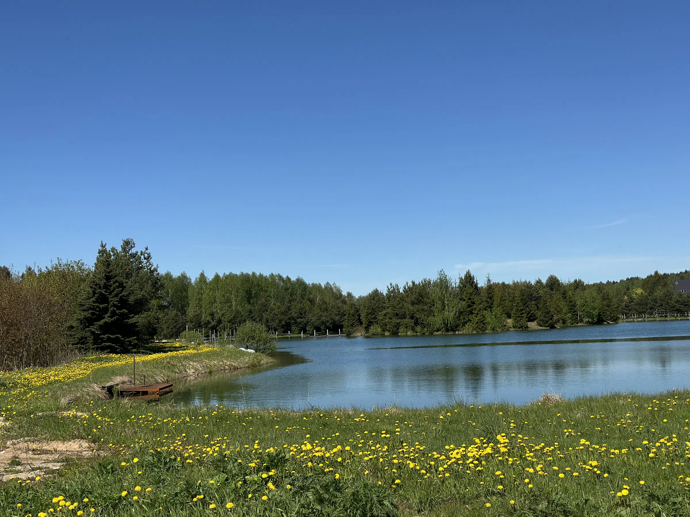 Загородное озеро с мостками, фото 17