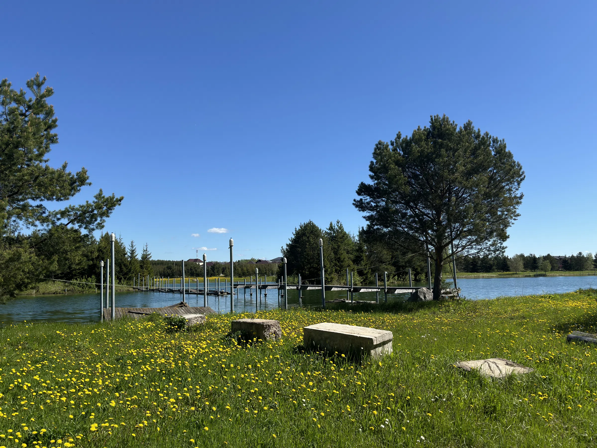 Загородное озеро с мостками, фото 1