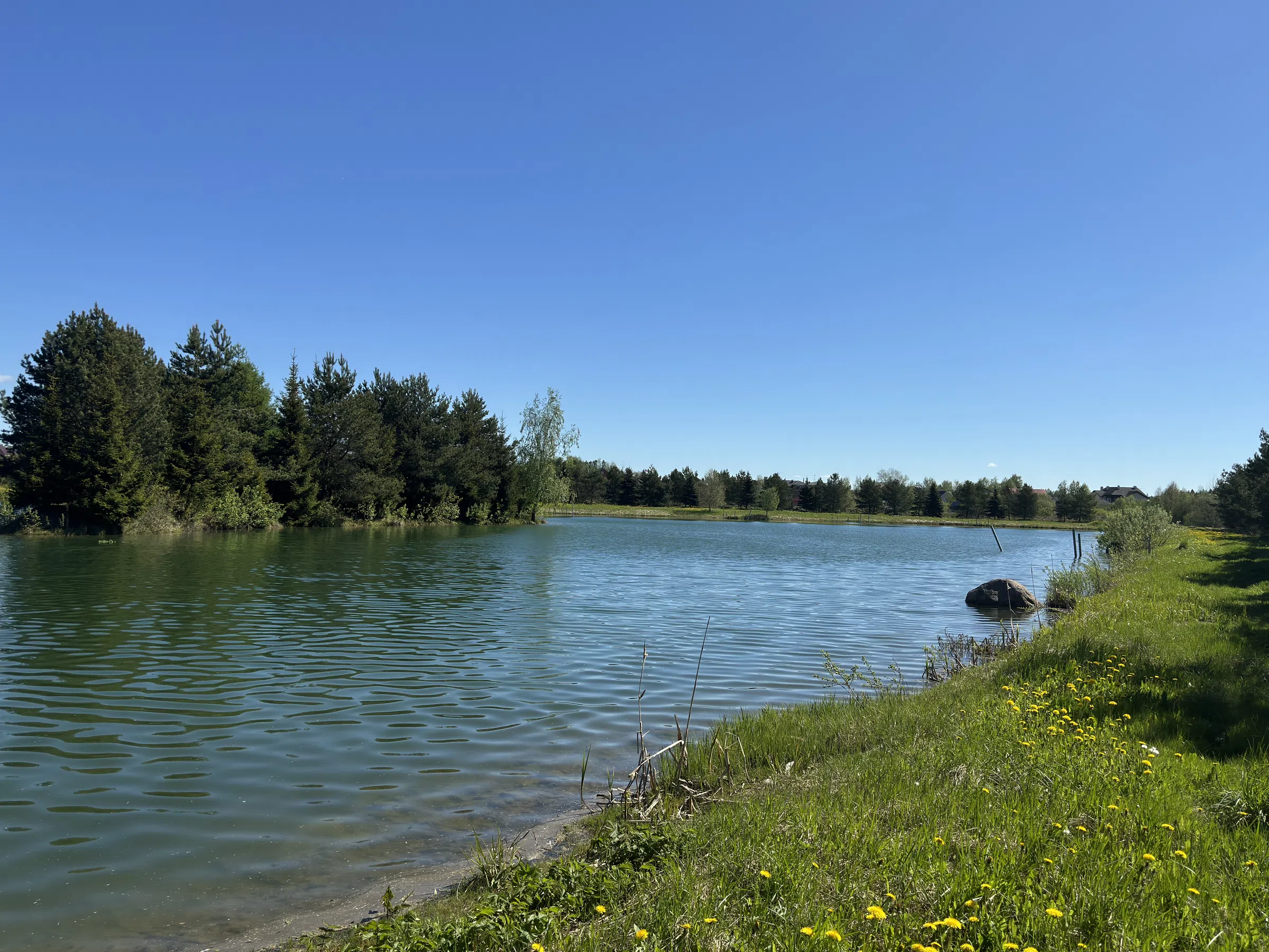 Загородное озеро с мостками, фото 4