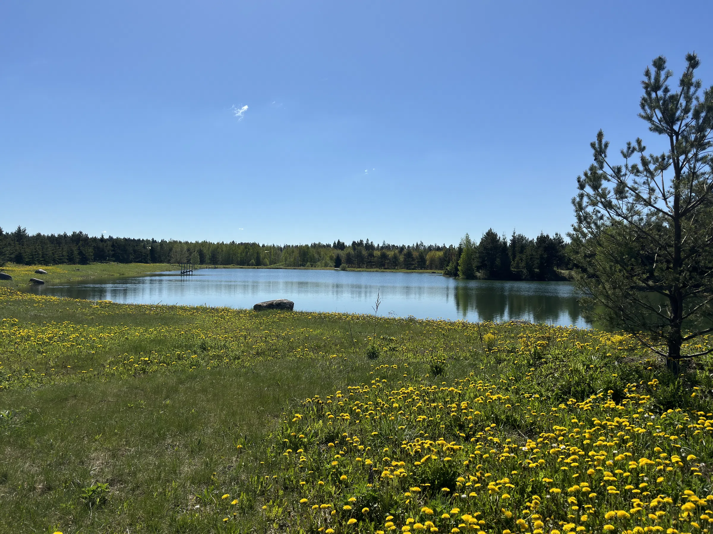 Загородное озеро с мостками, фото 24