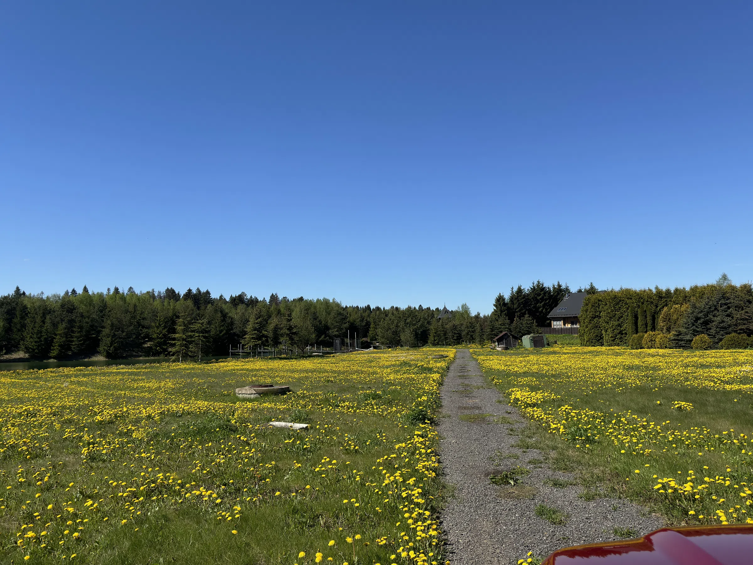 Загородное озеро с мостками, фото 21