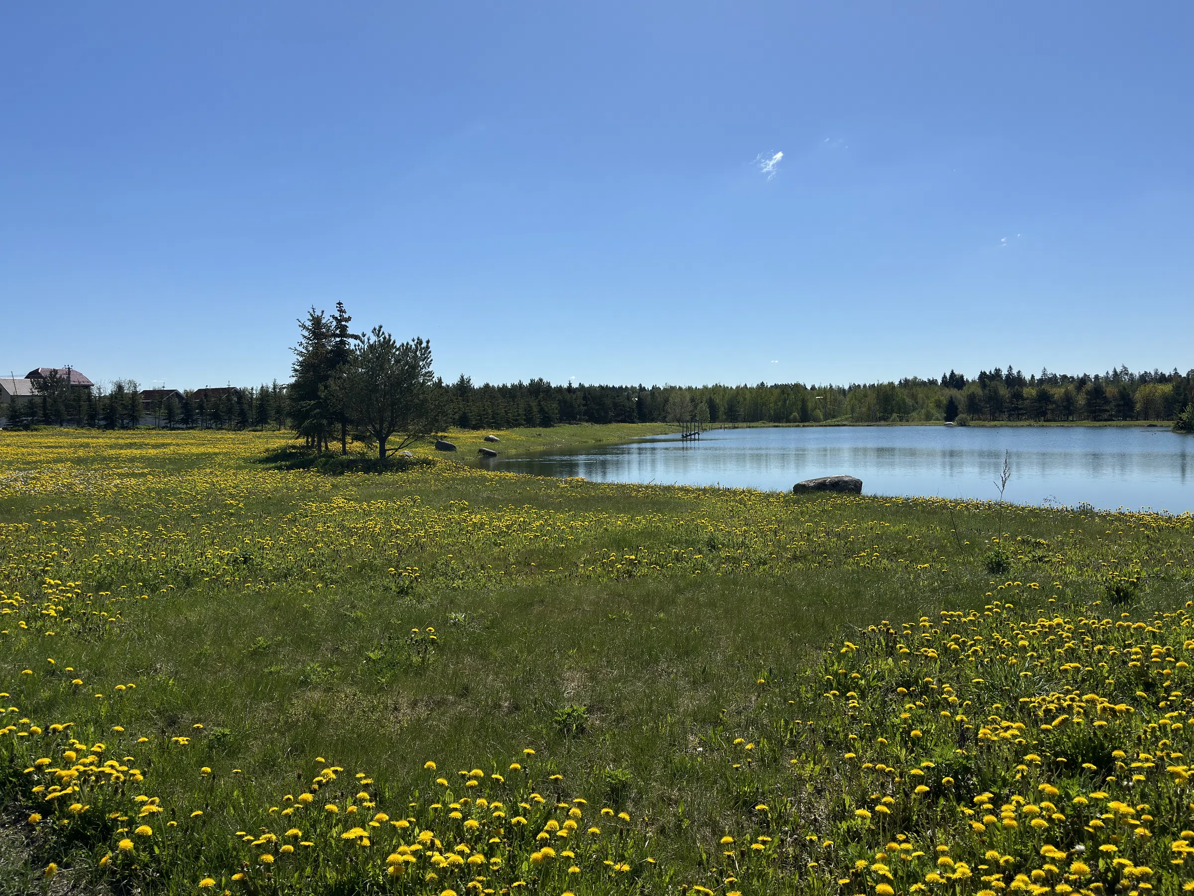 Загородное озеро с мостками, фото 23