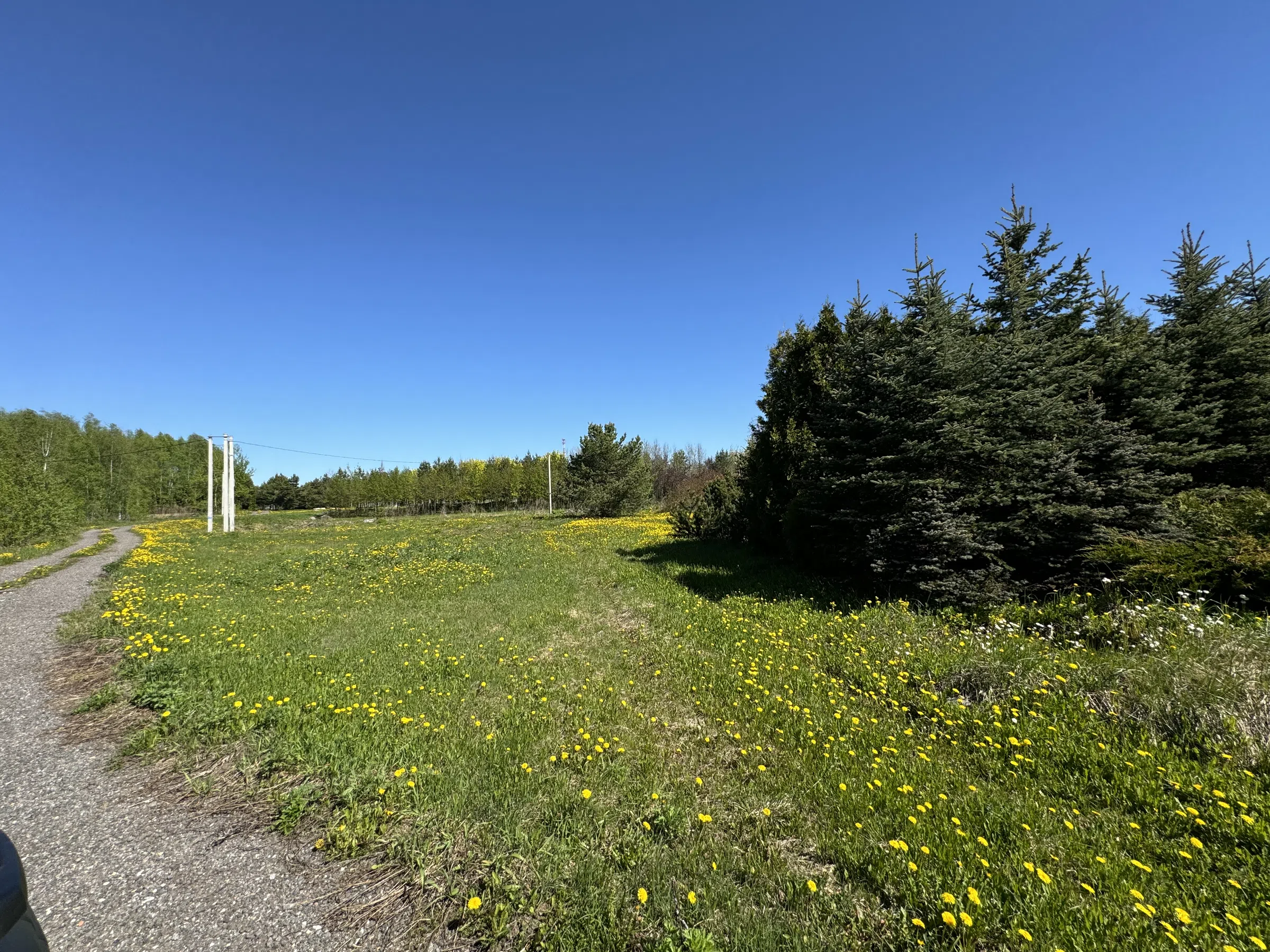 Загородное озеро с мостками, фото 12