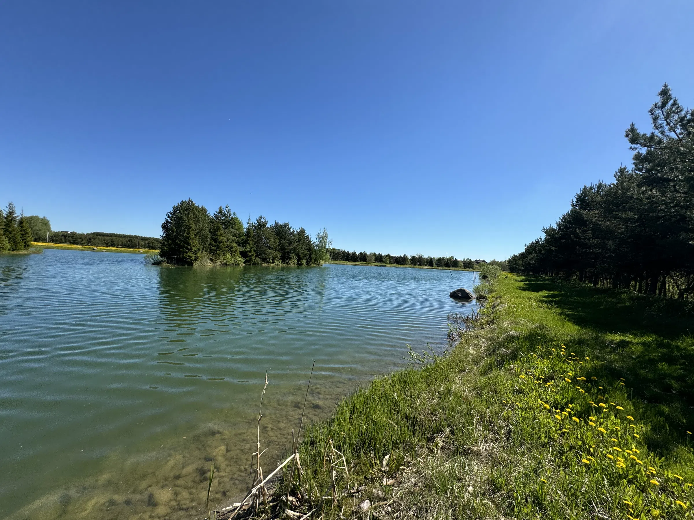 Загородное озеро с мостками, фото 7