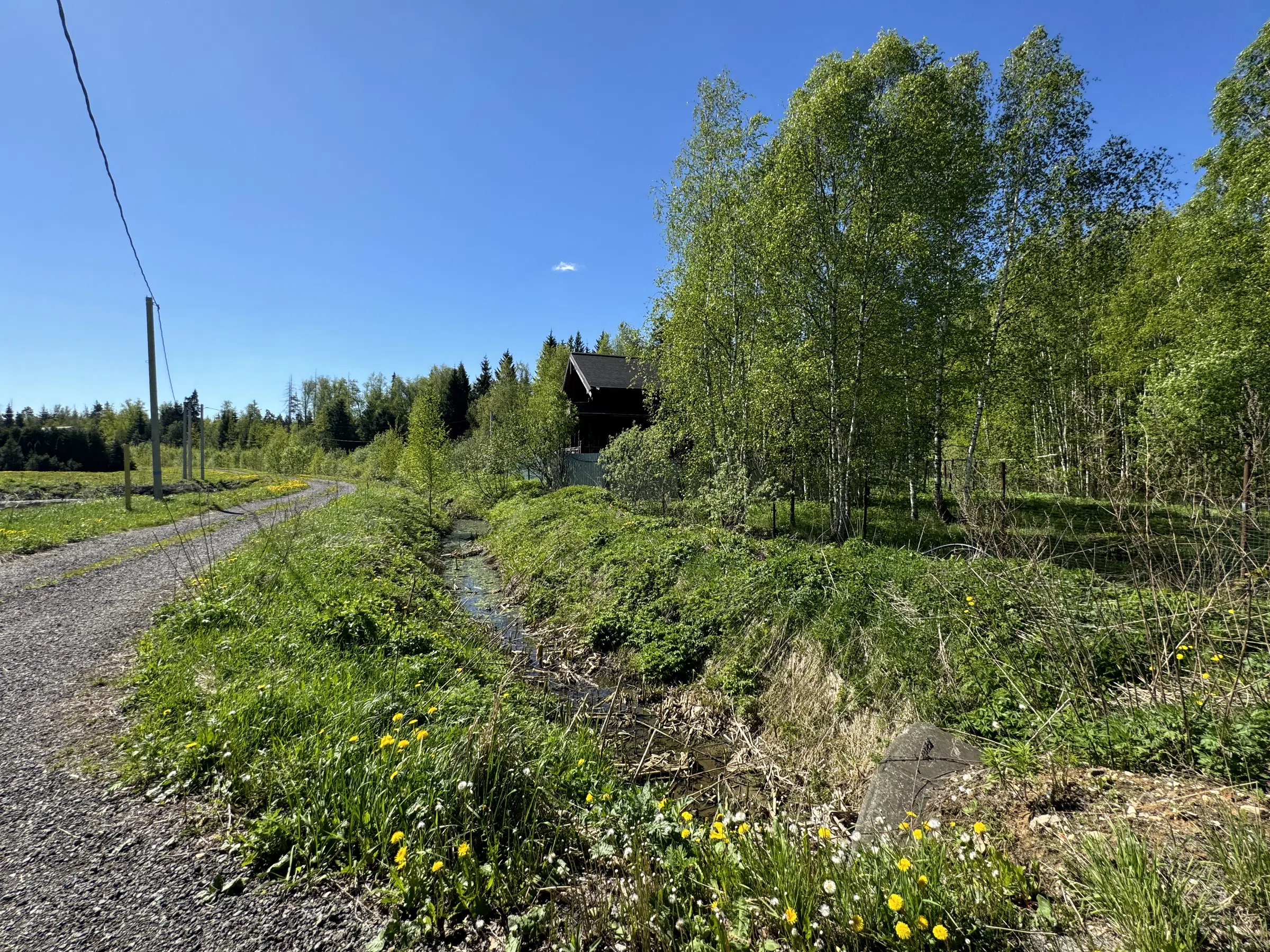 Загородное озеро с мостками, фото 10