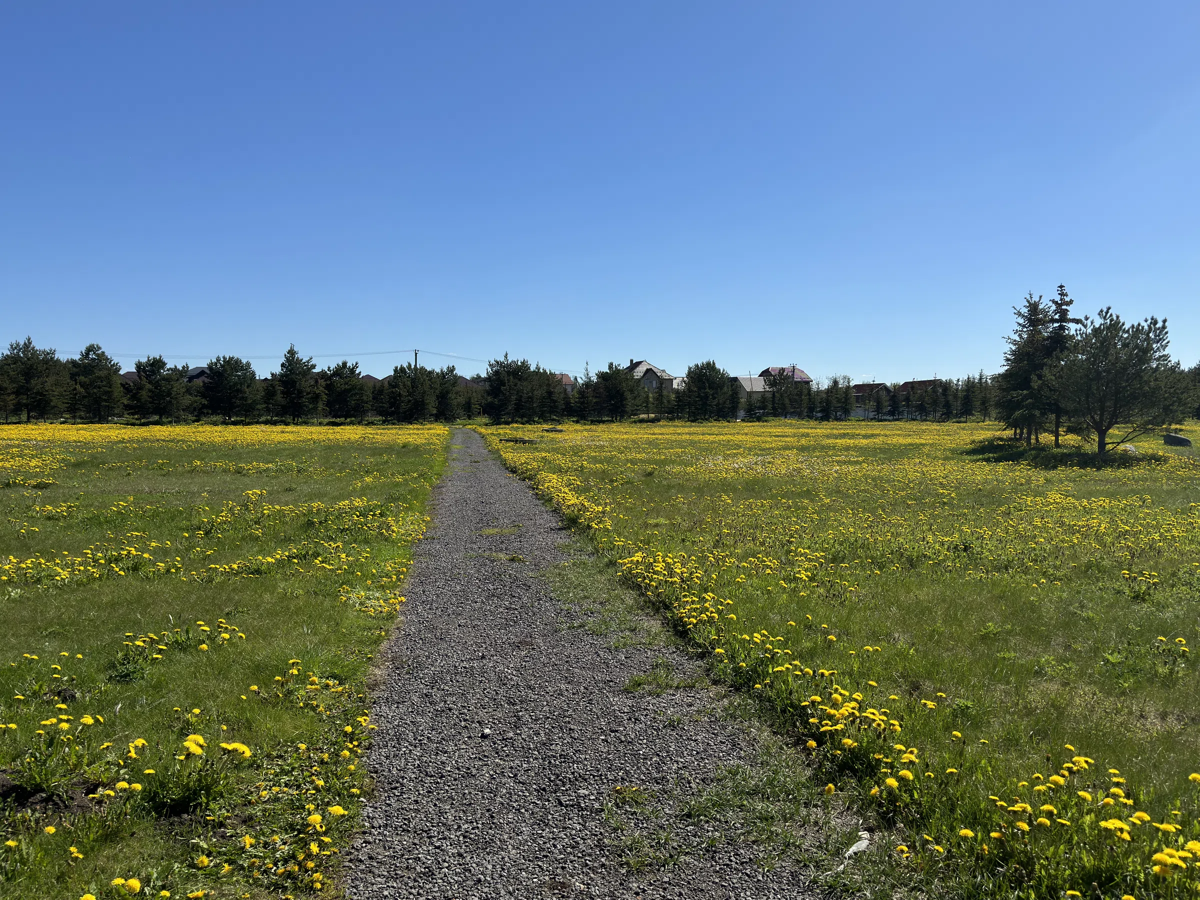 Загородное озеро с мостками, фото 22