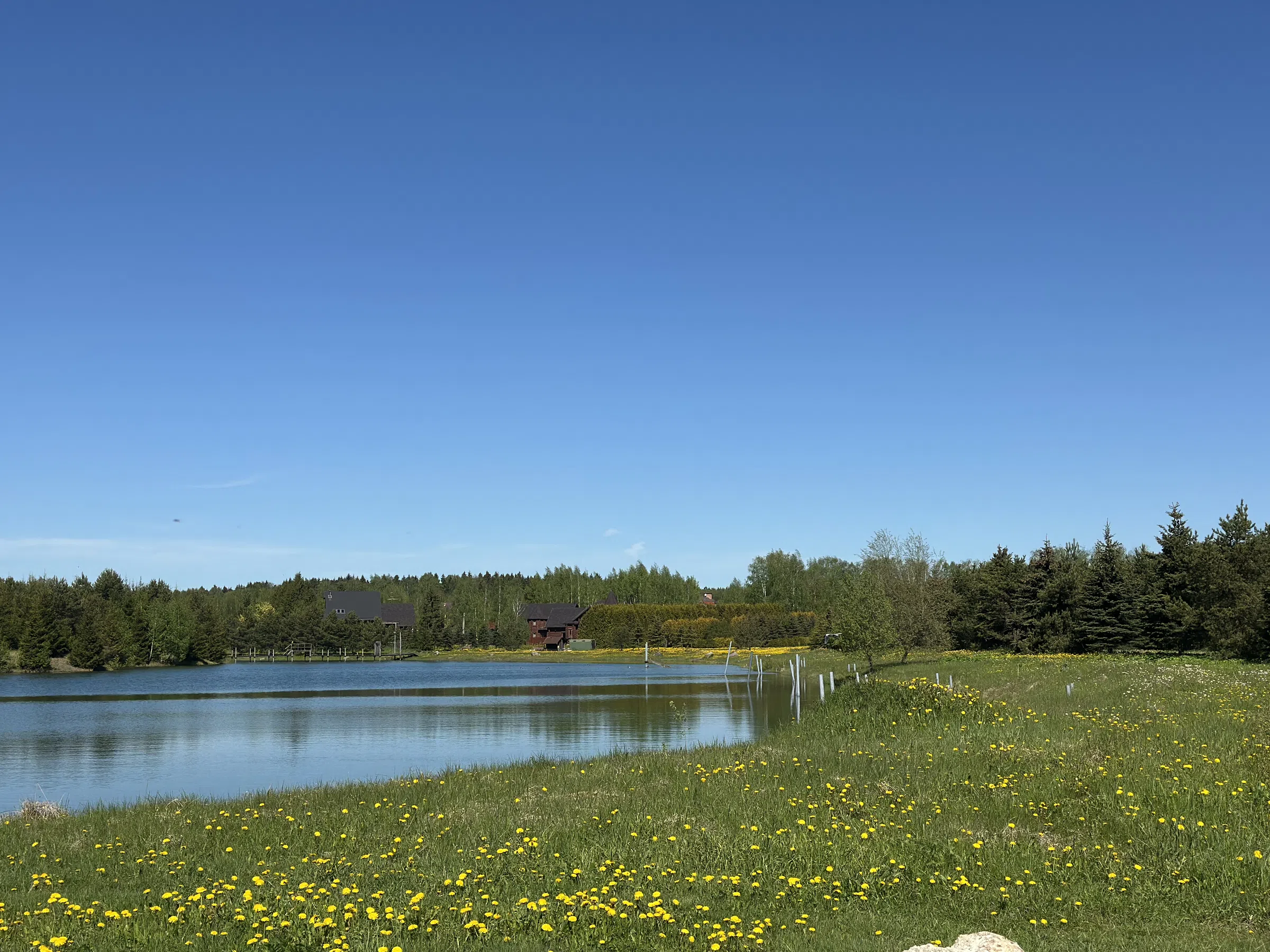 Загородное озеро с мостками, фото 18