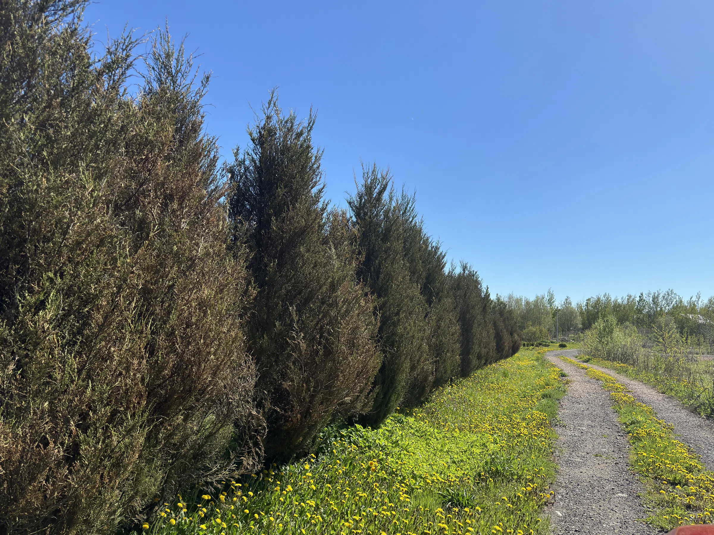 Загородное озеро с мостками, фото 14