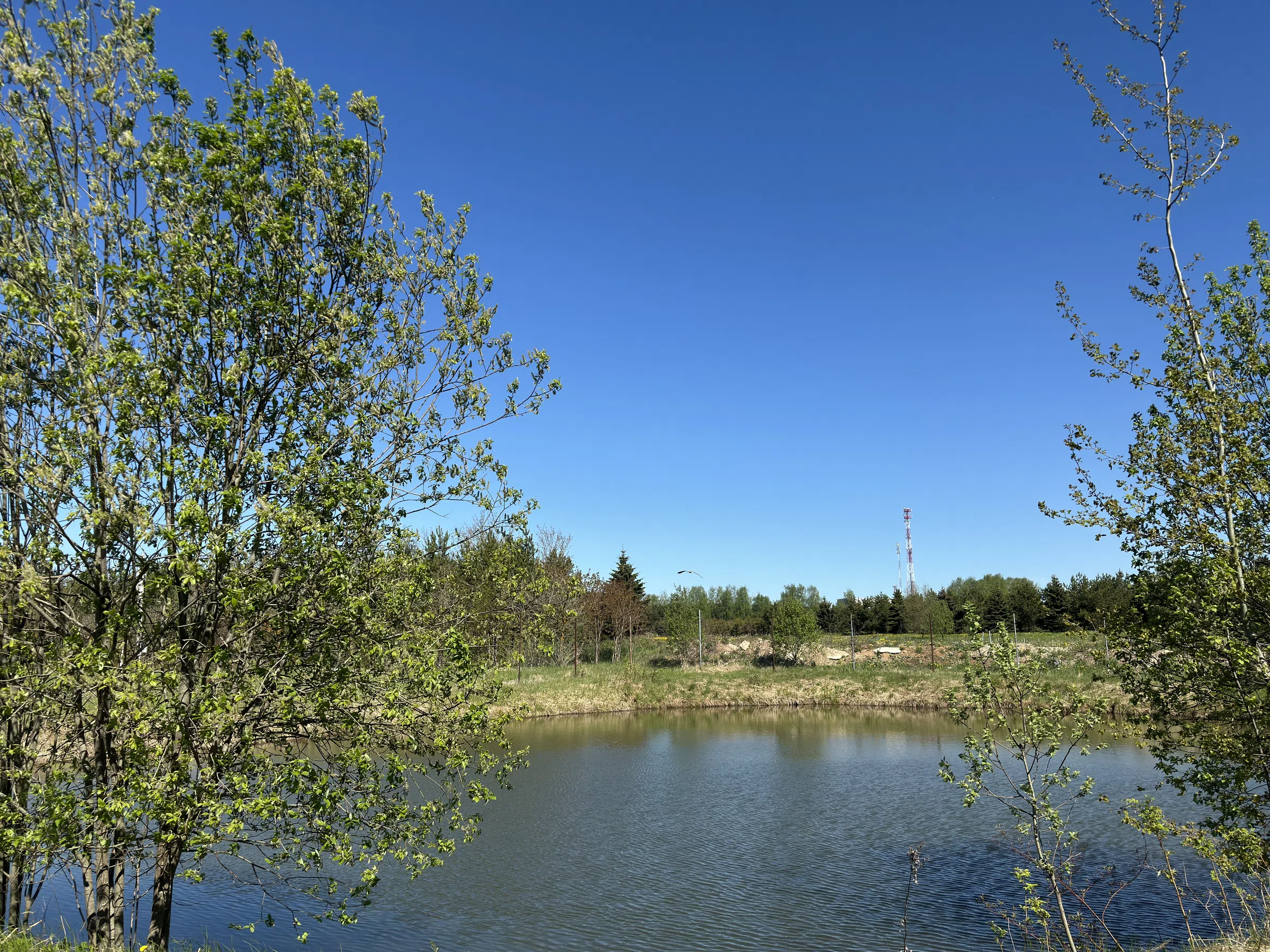 Загородное озеро с мостками, фото 15